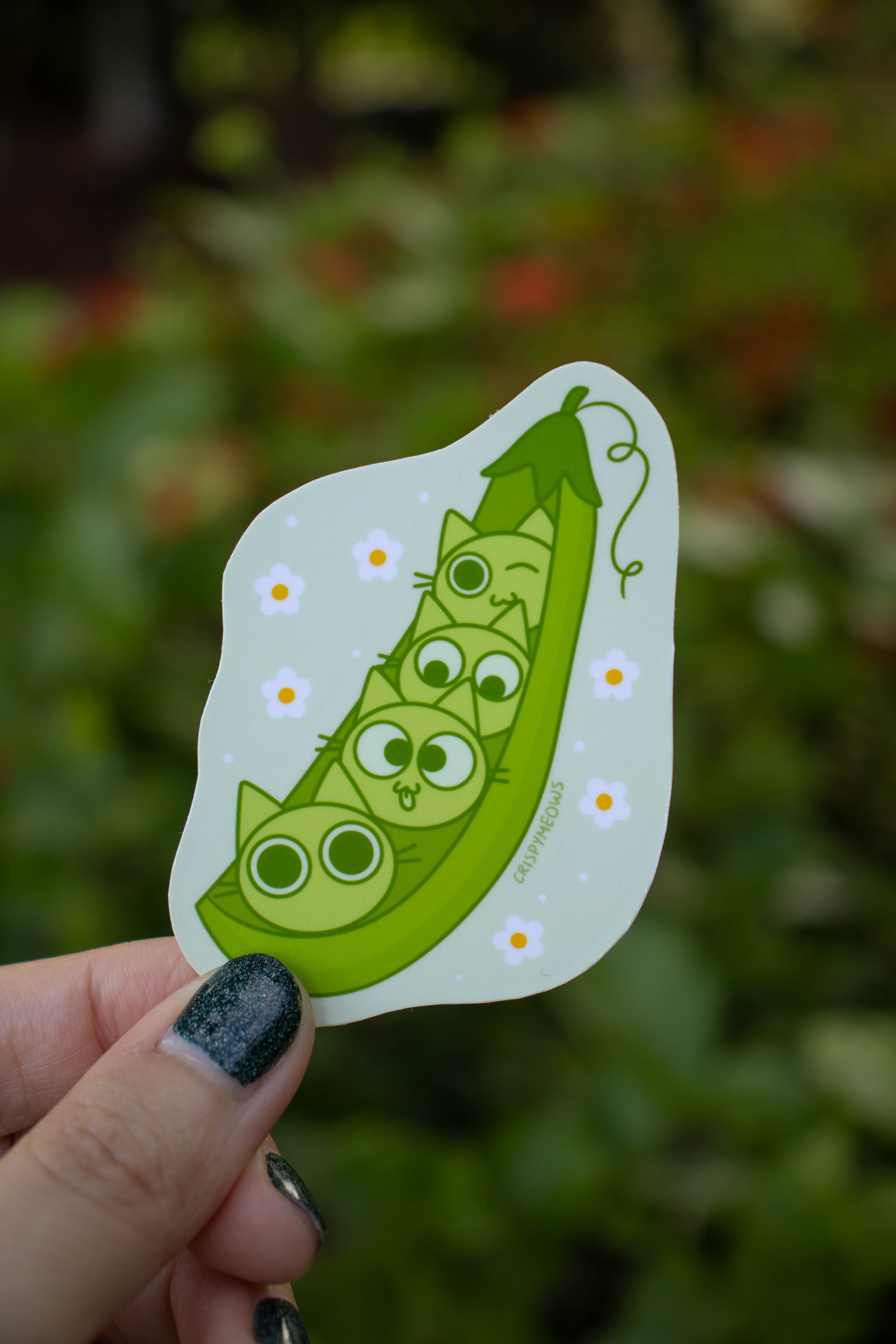 Cats in a Pod Sticker