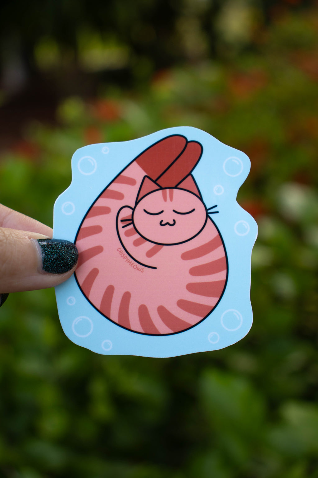Shrimp Cat Sticker