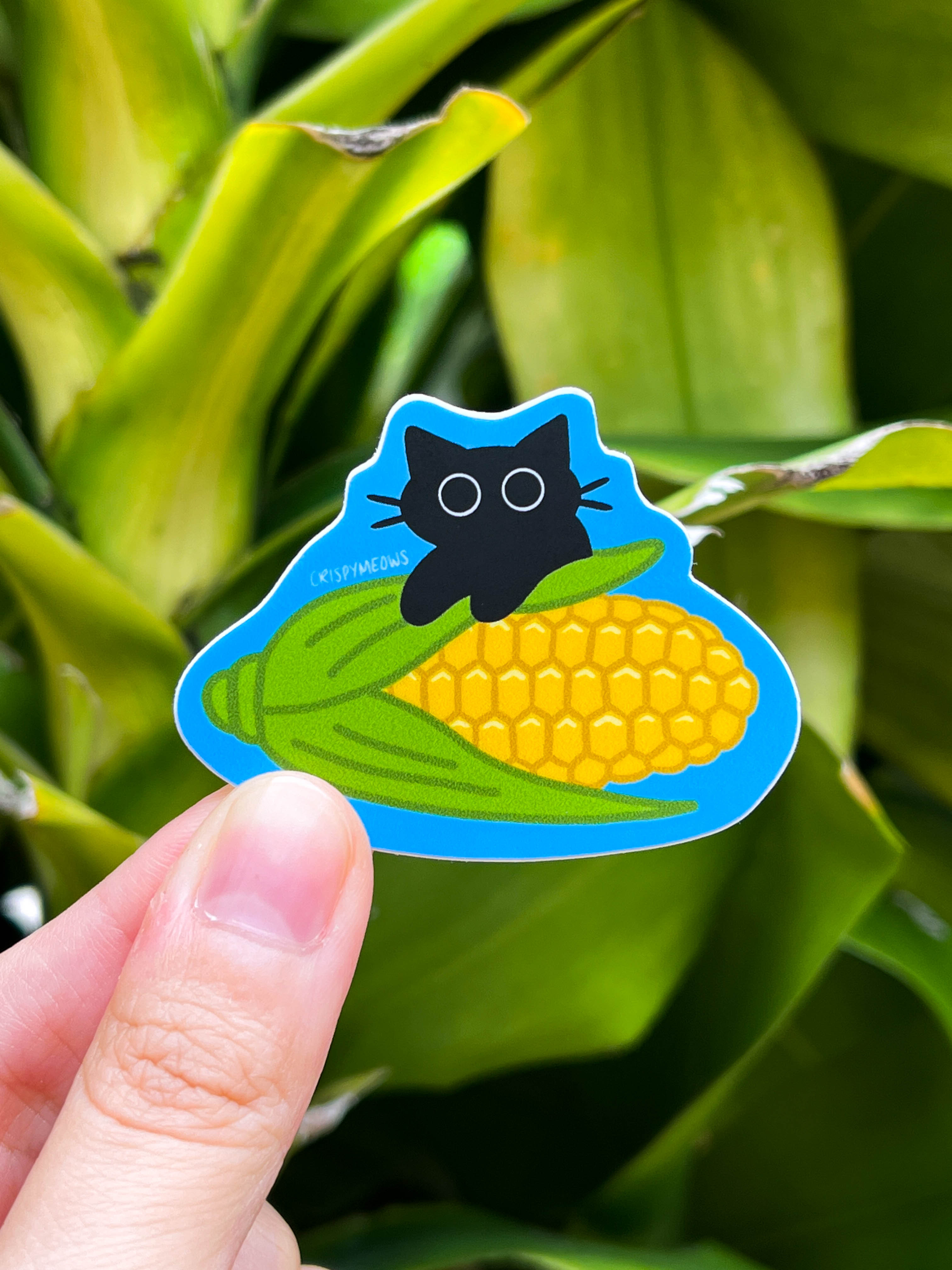 Cat On The Cobb Sticker