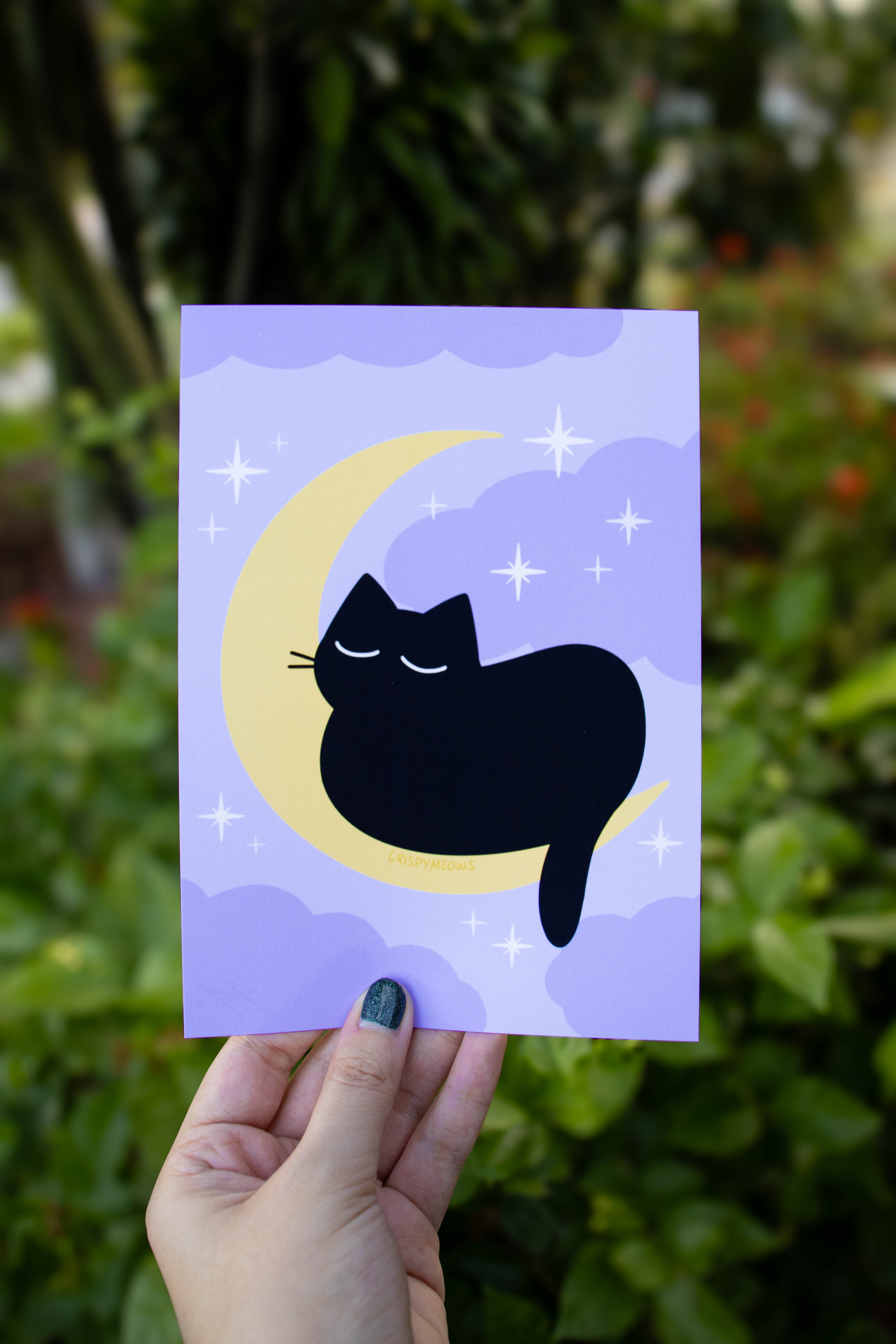 Twilight Cat, 5 x 7 Print