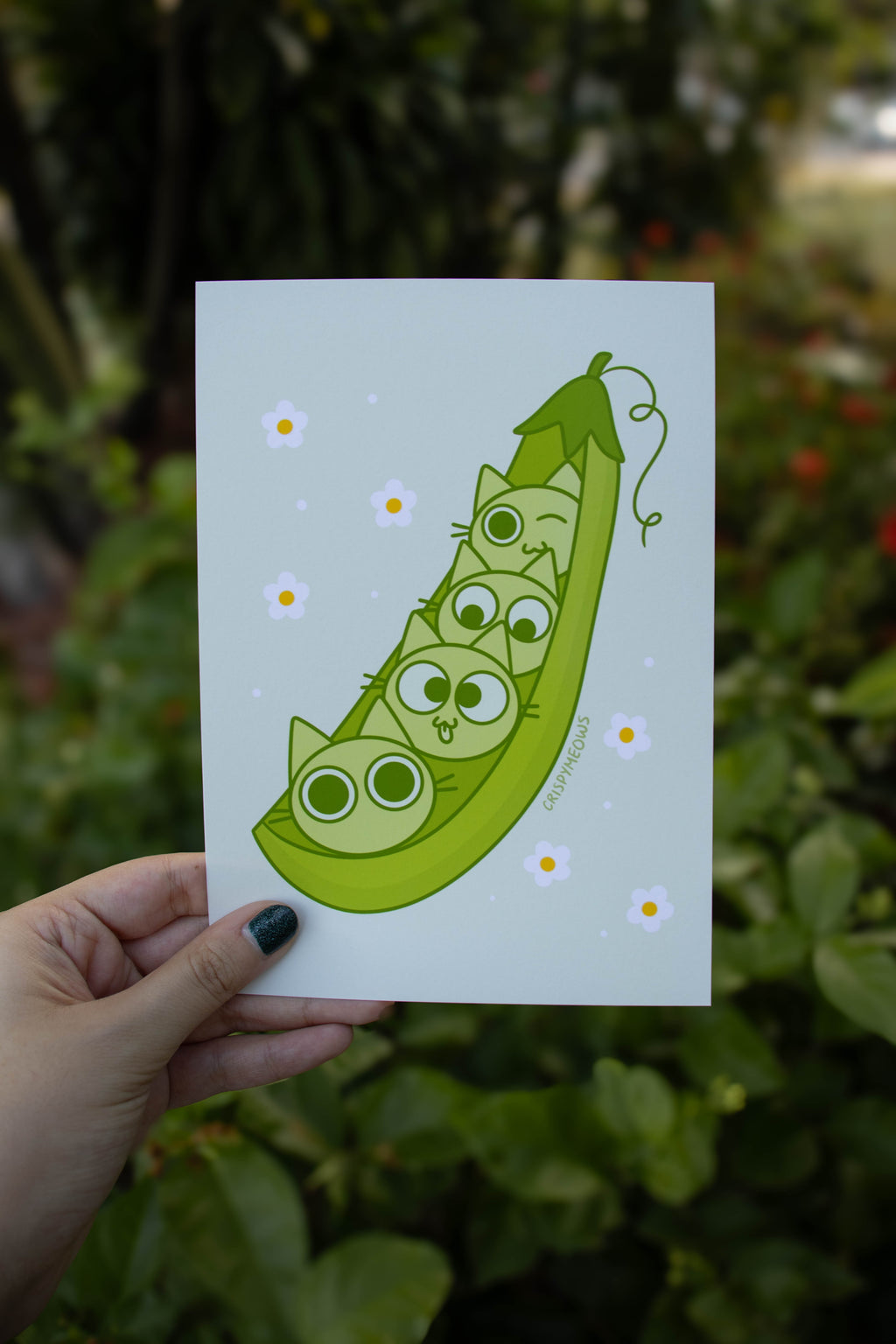 Cats in a Pod, 5 x 7 Print