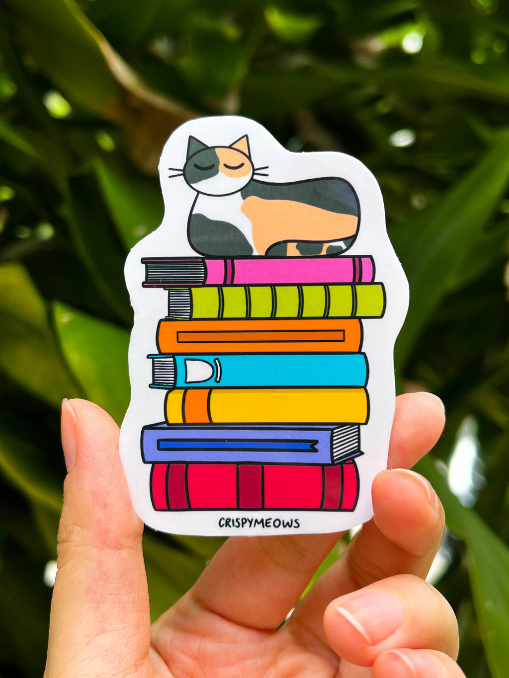 Curl Up & Read
