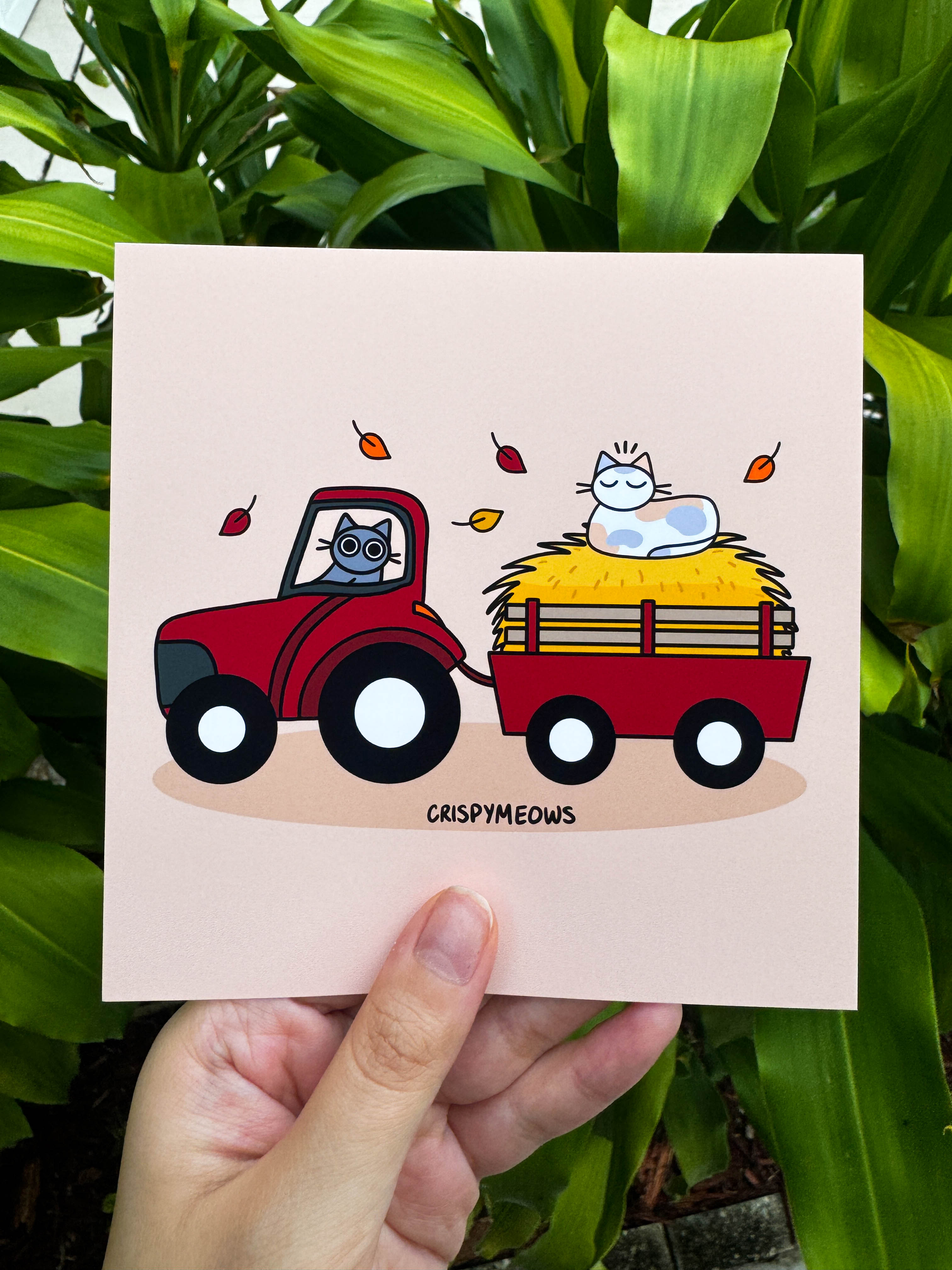 Hay There! 5x5 Print