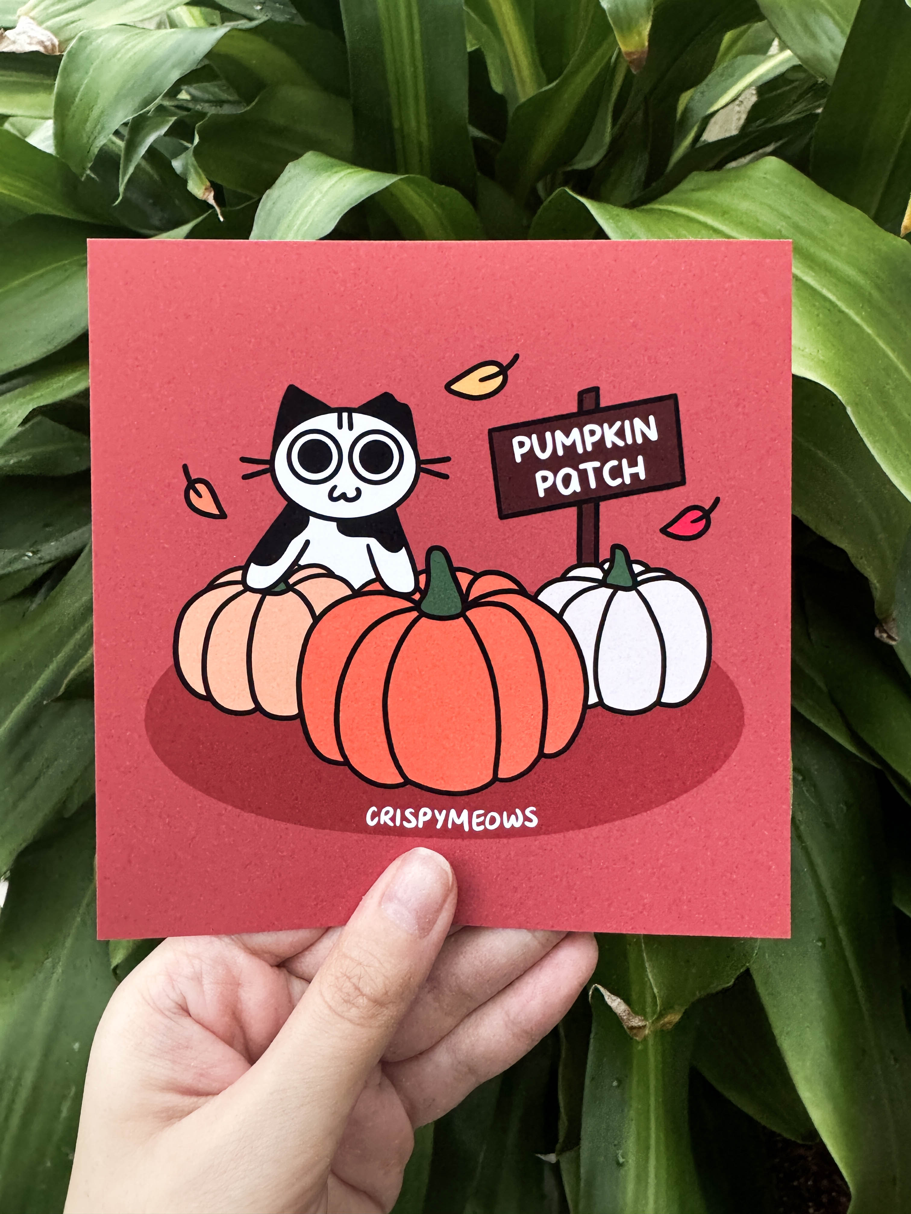 Purrmpkin Patch, 5x5 Print