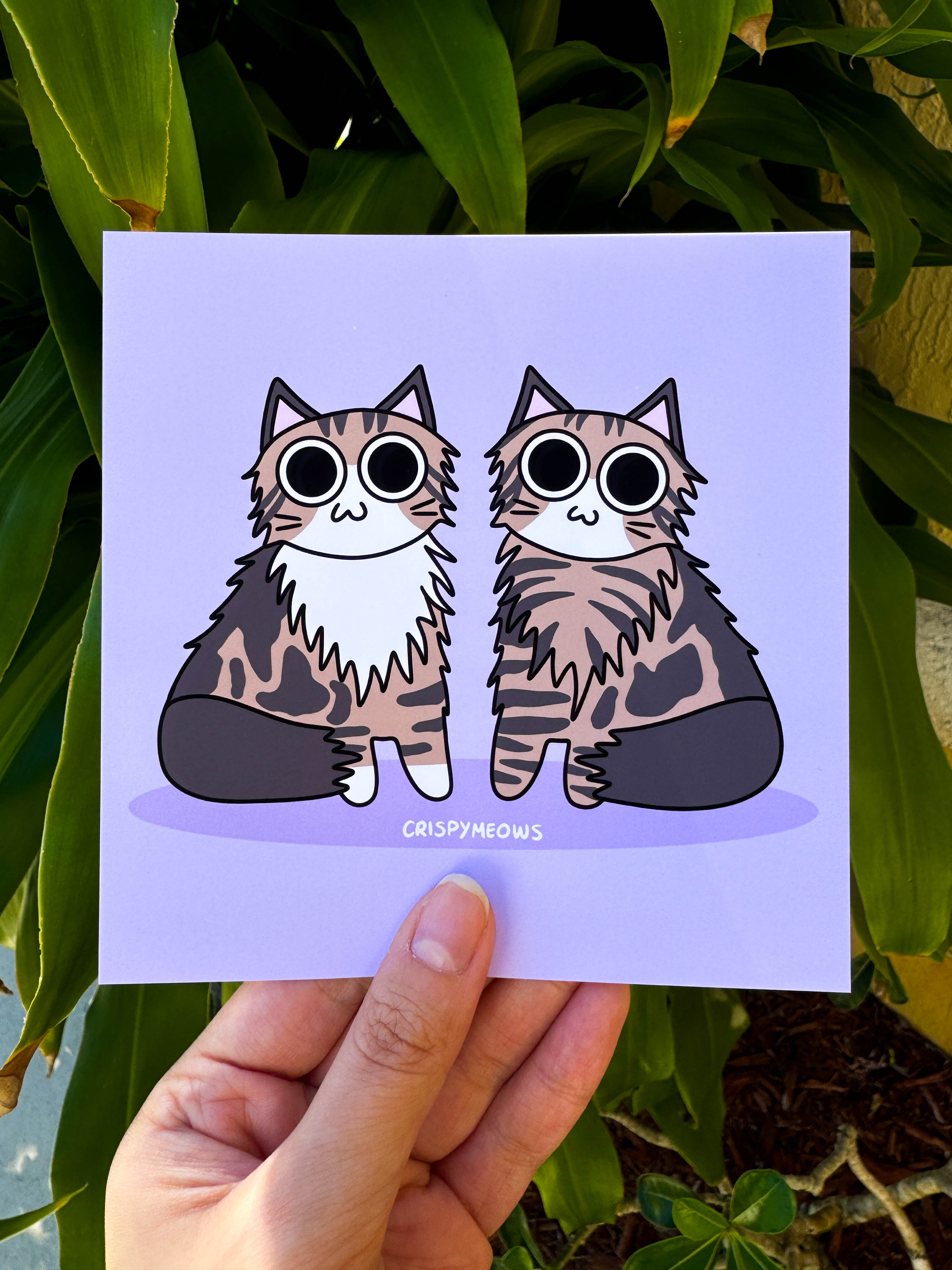 Maine Coon Pals, 5x5 Print