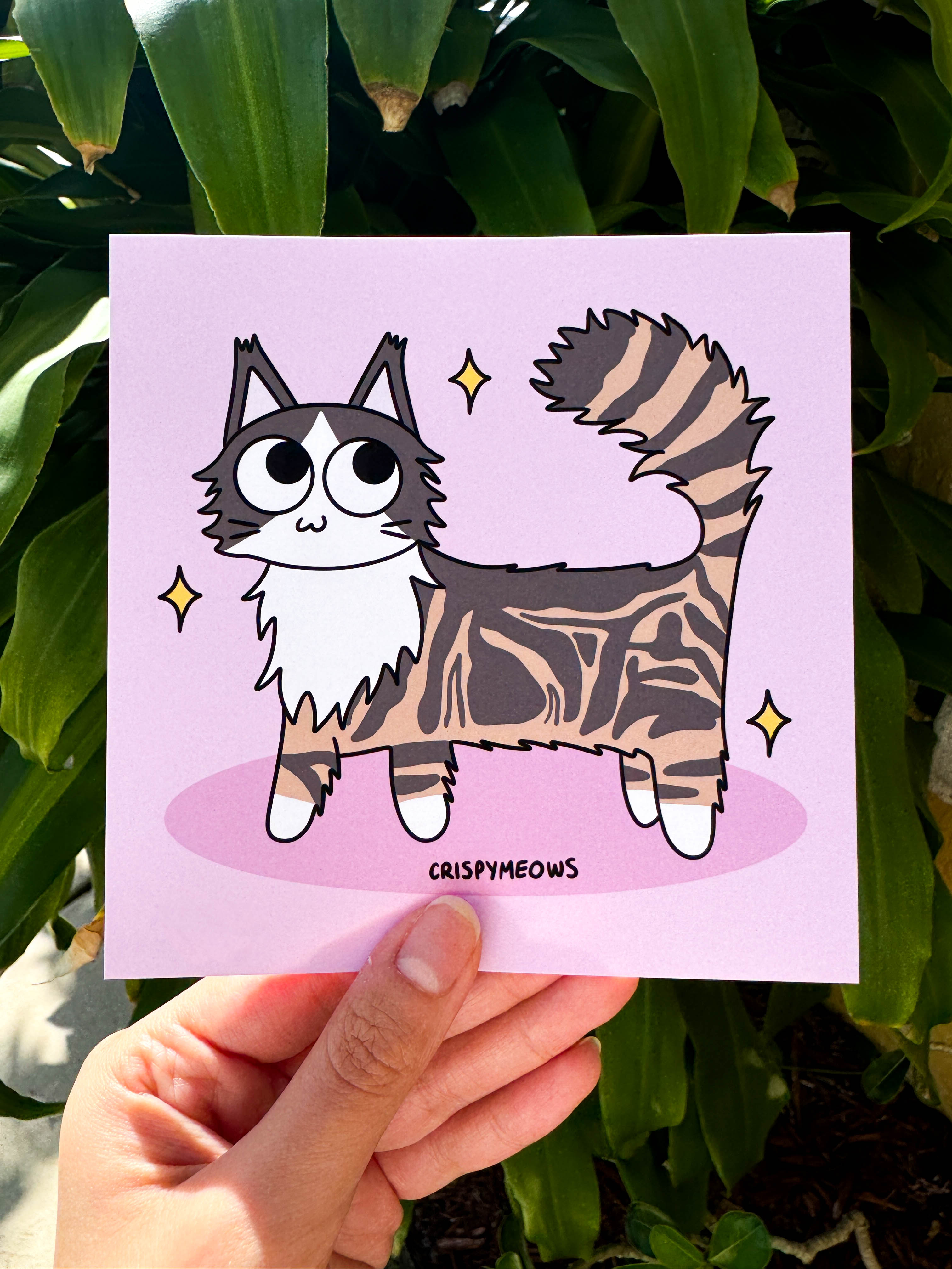 Floofy Maine Coon, 5x5 Print