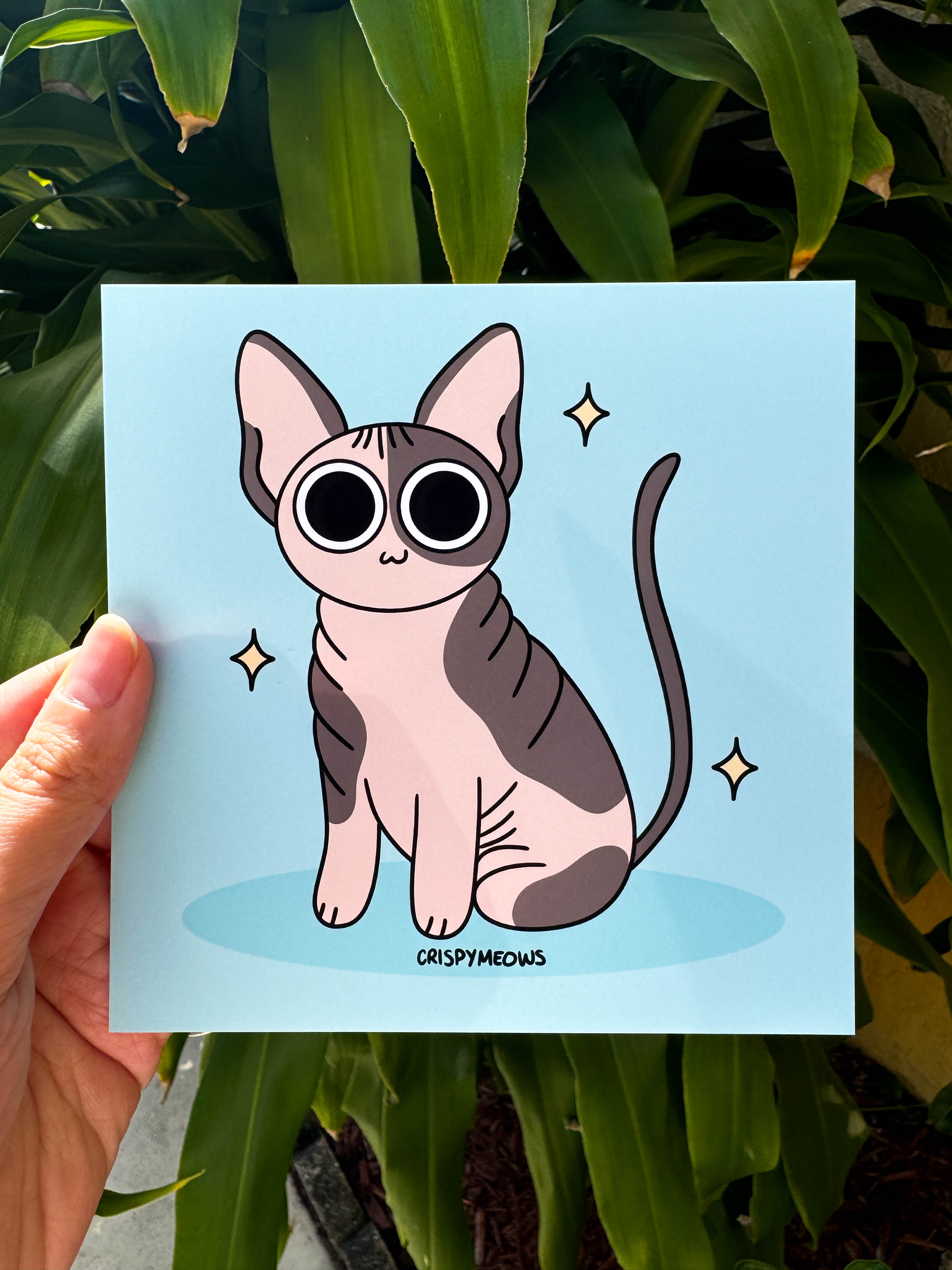 The Sassy Sphynx, 5x5 Print