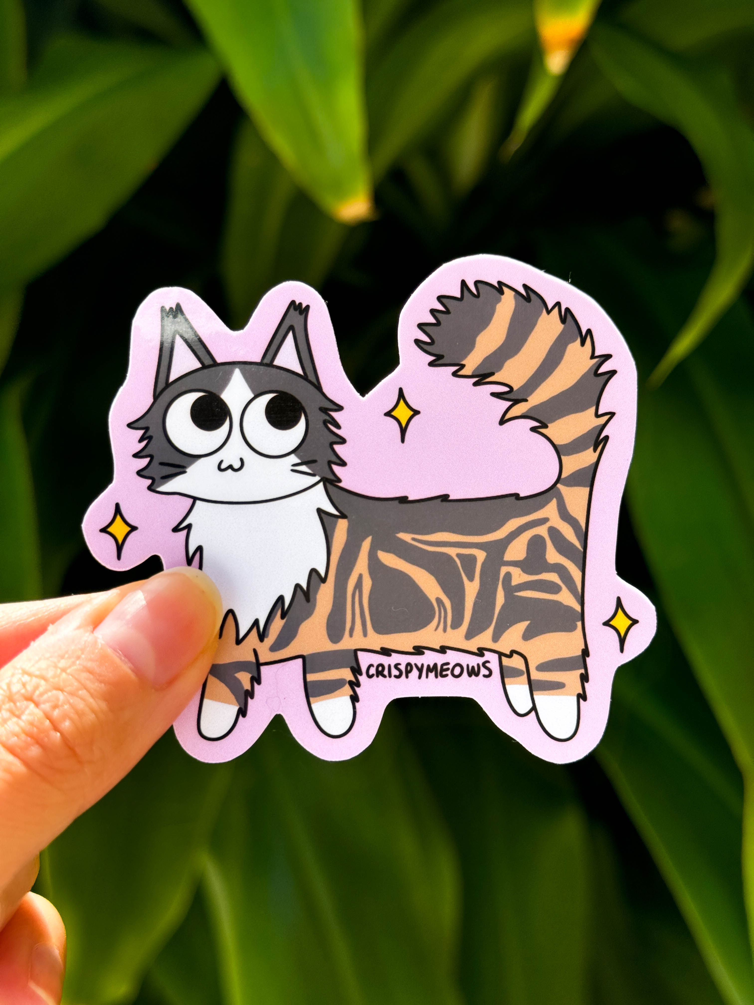 Floofy Maine Coon Sticker