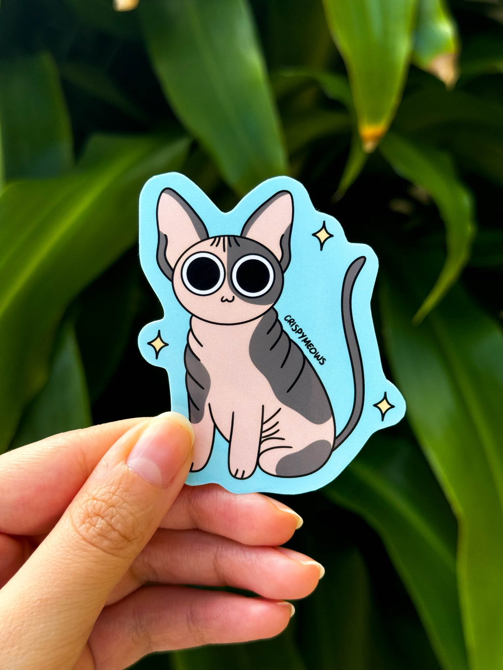 The Sassy Sphynx Cat Sticker