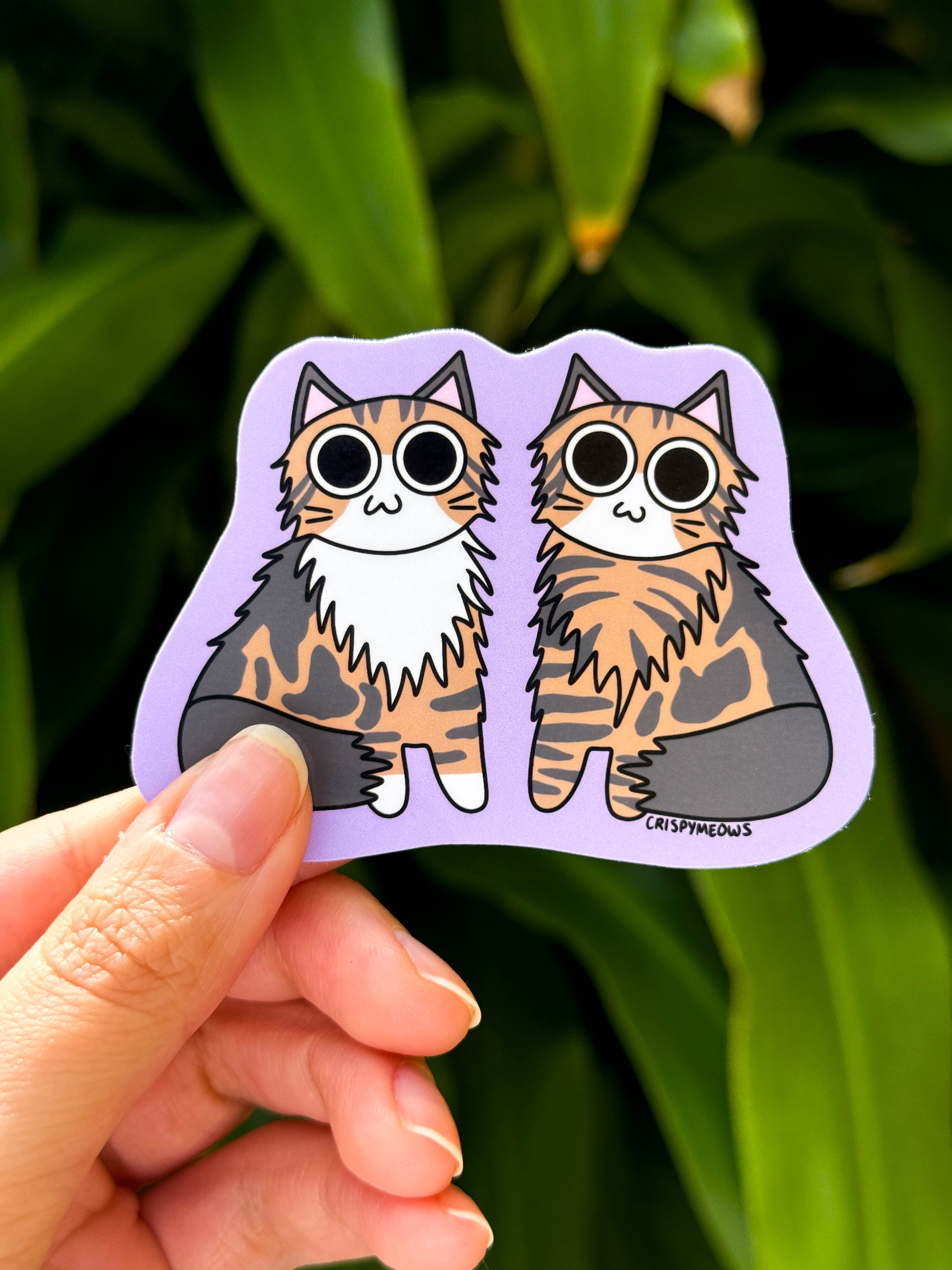 Maine Coon Pals Sticker