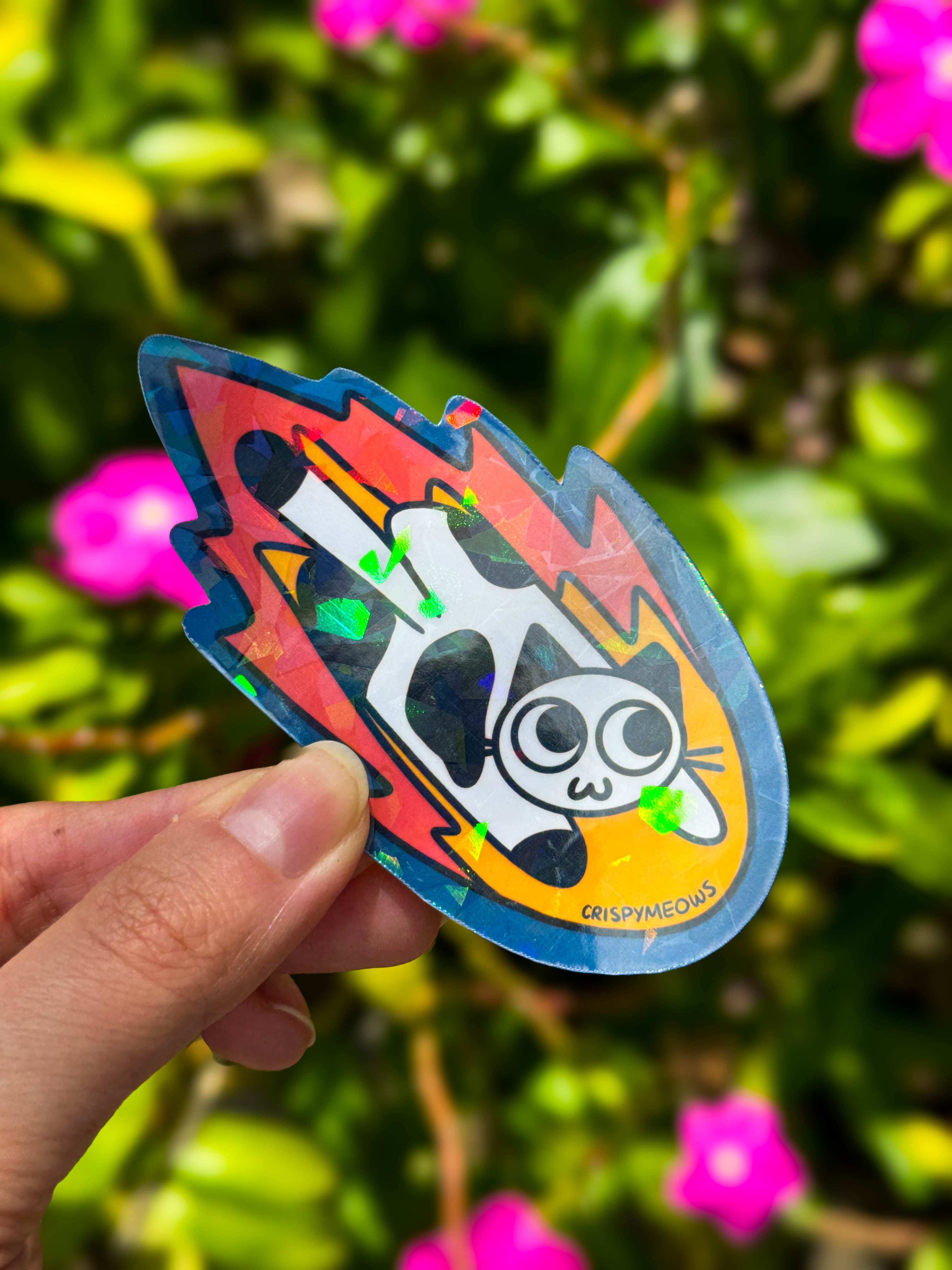 Meteor Cat Sticker