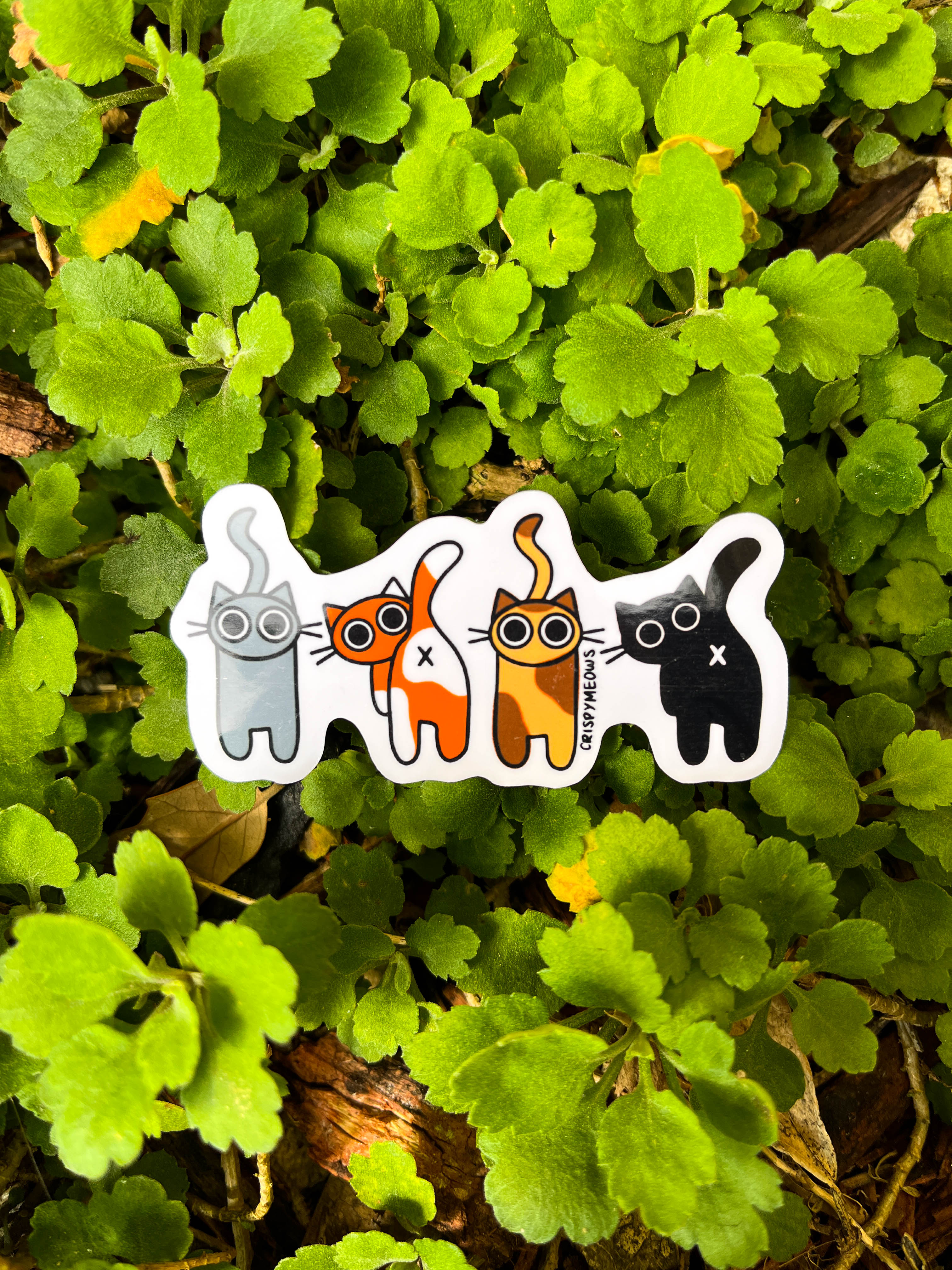 Heads & Tails Sticker