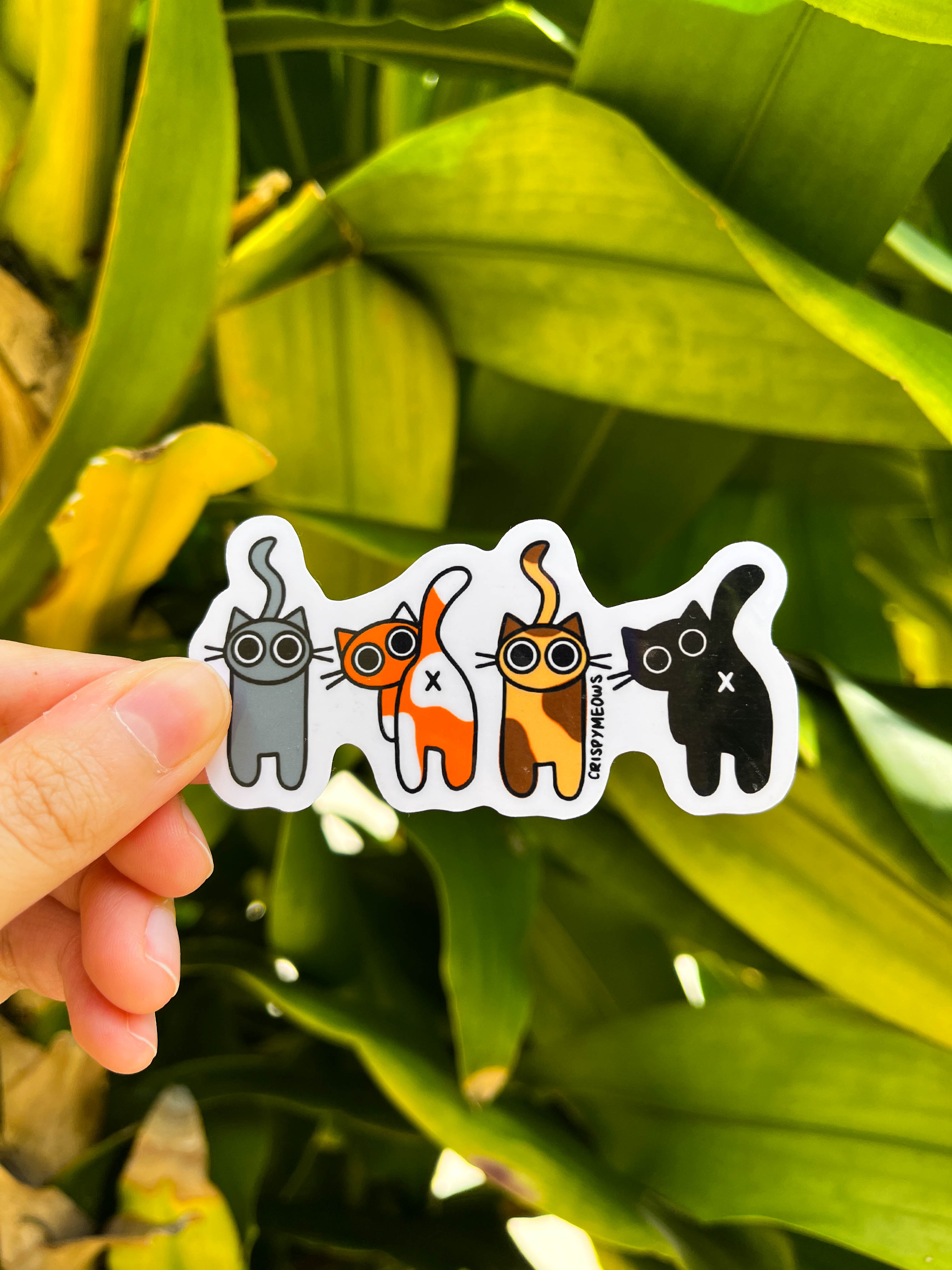 Heads & Tails Sticker