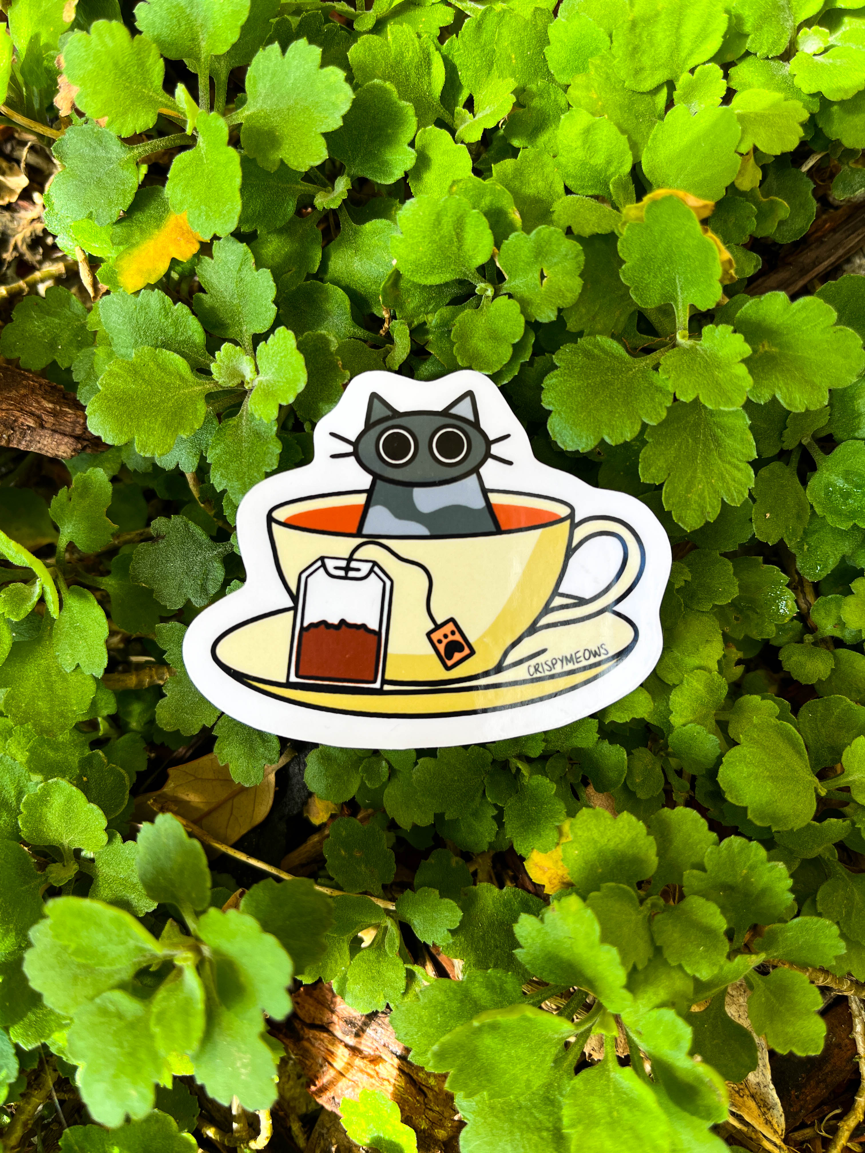 Tea Cat Sticker