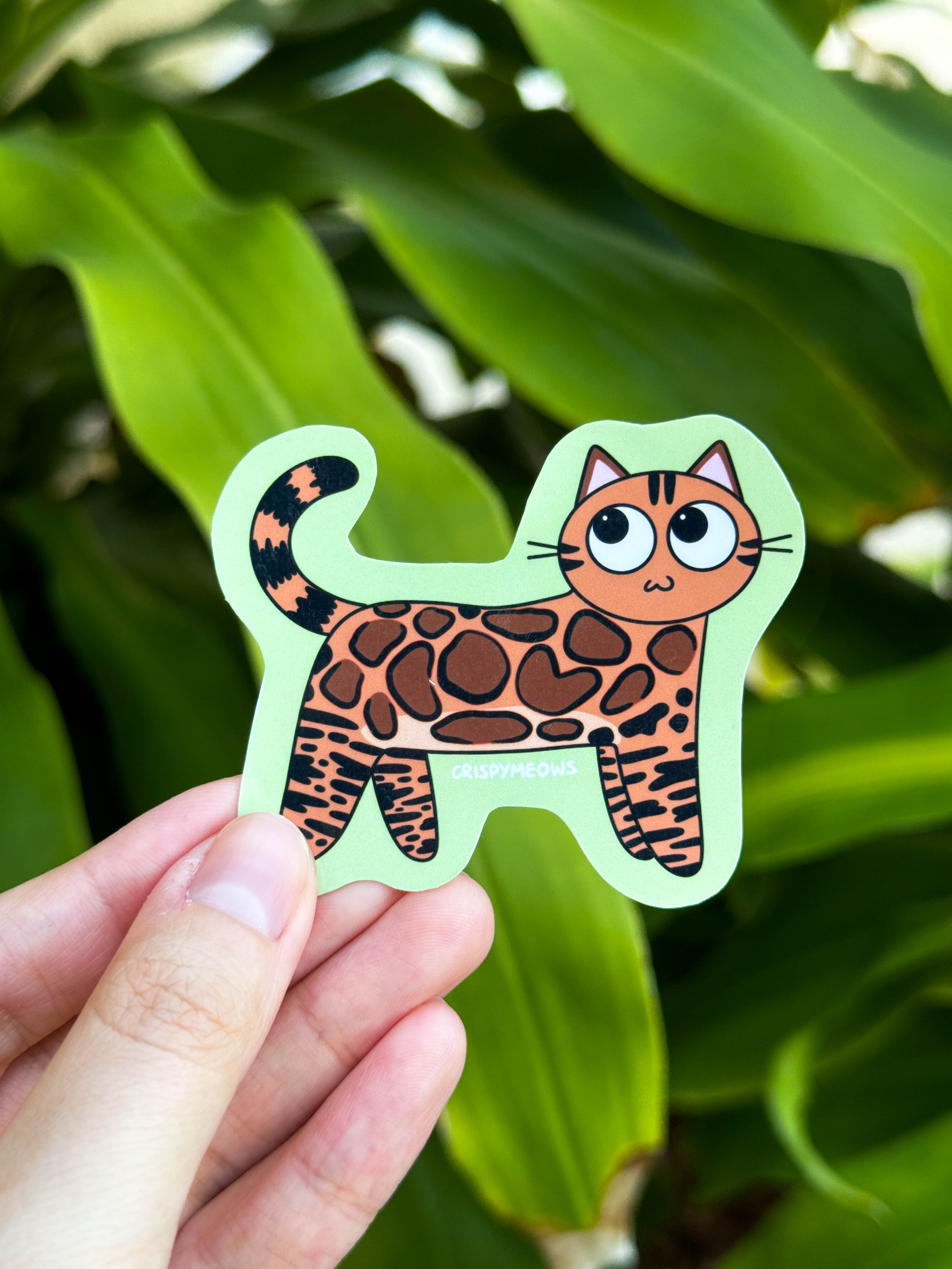 Bengal Cat Sticker