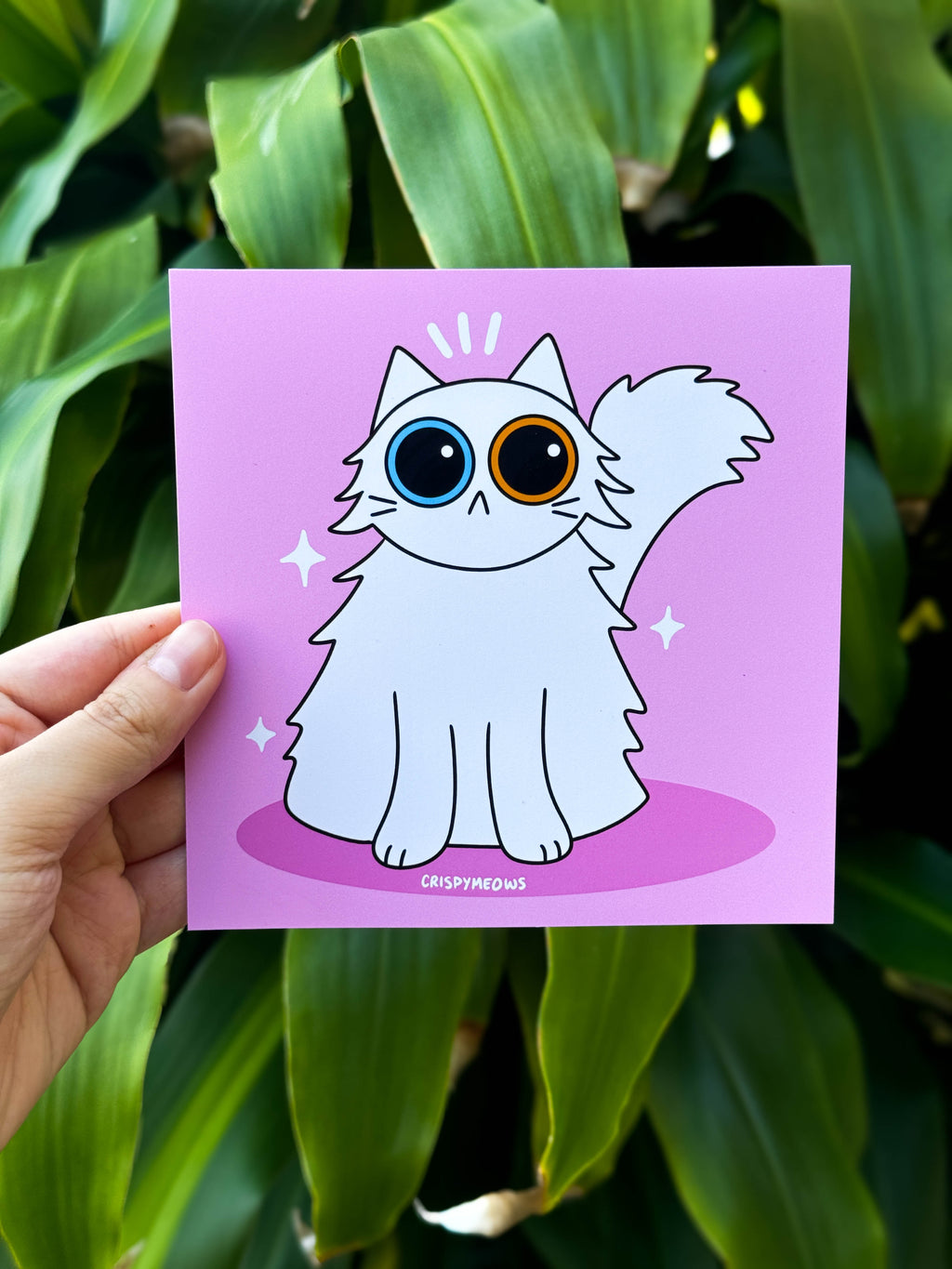 Persian Cat Print, 5x5 Print