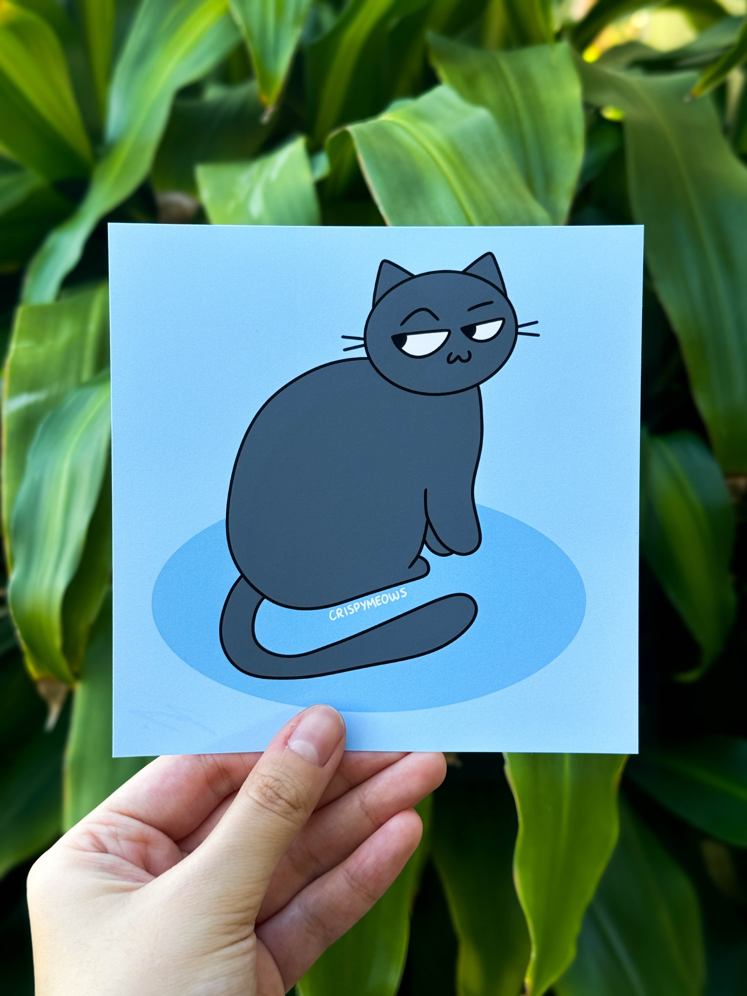 Chartreux Cat Print, 5x5 Print