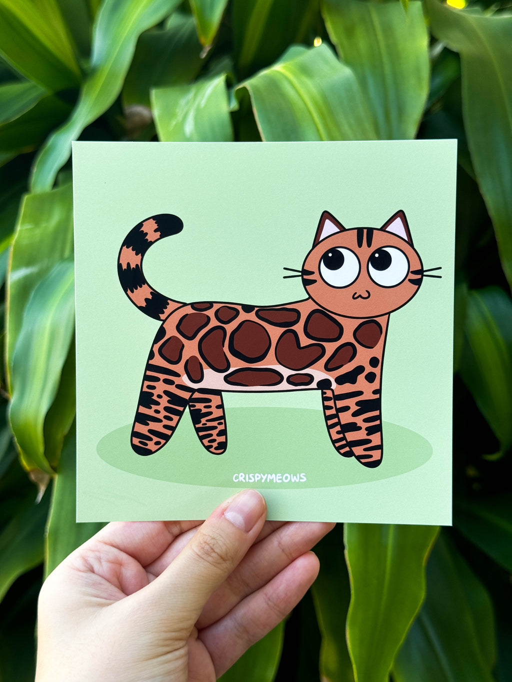 Bengal Cat Print, 5x5 Print