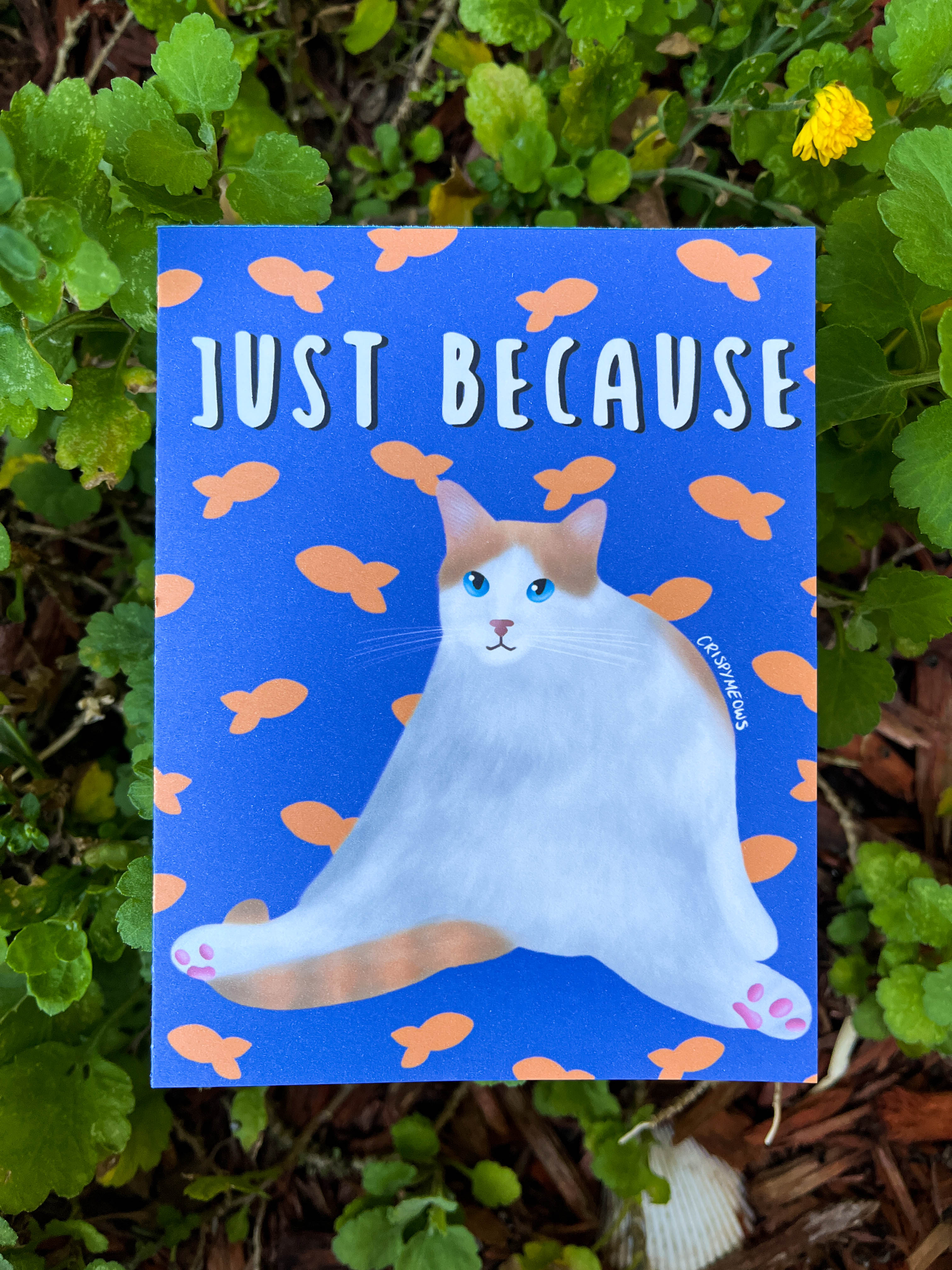 Just Because Cat Card
