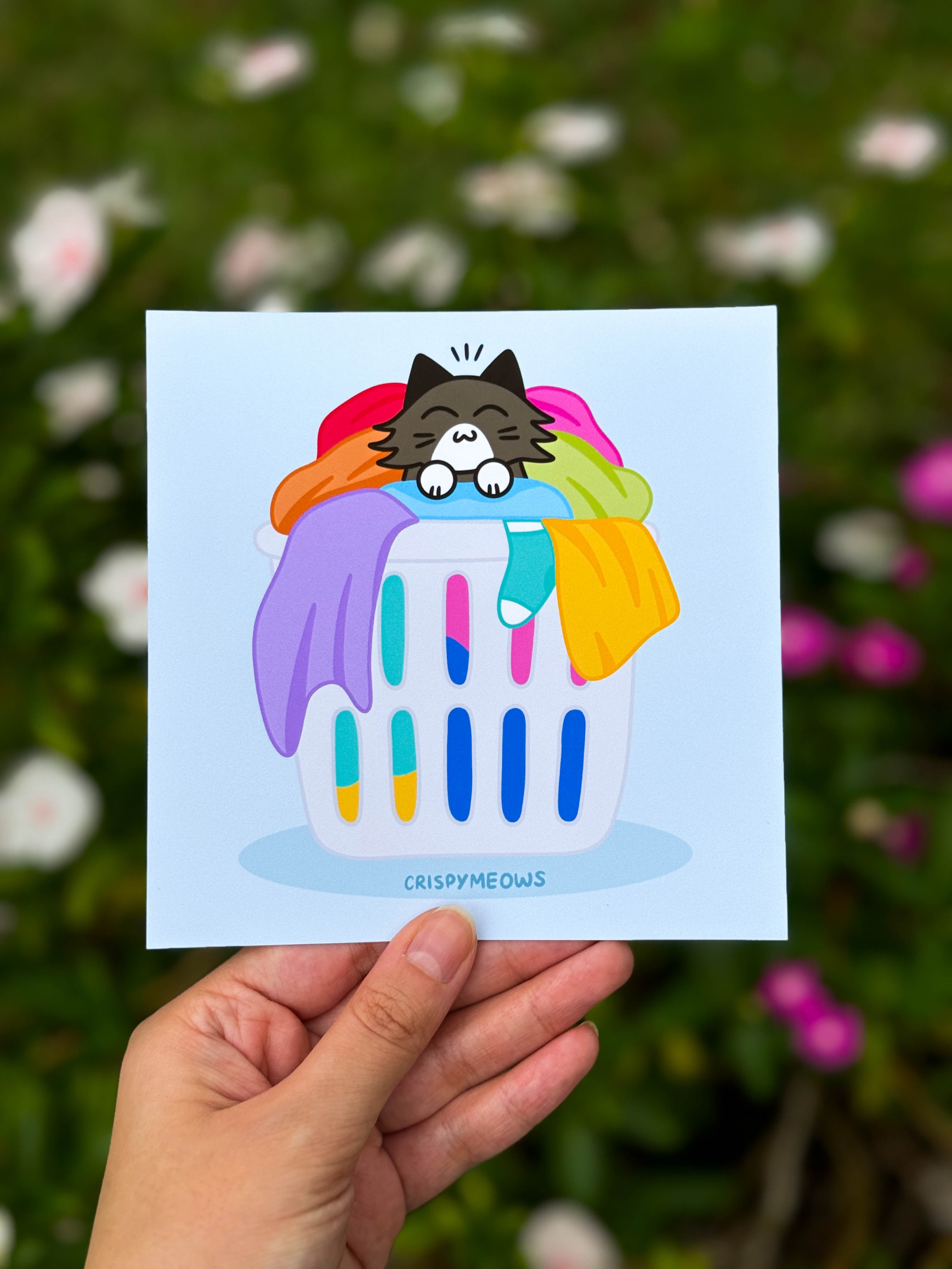 Cozy in the Laundry, 5 x 5 Print