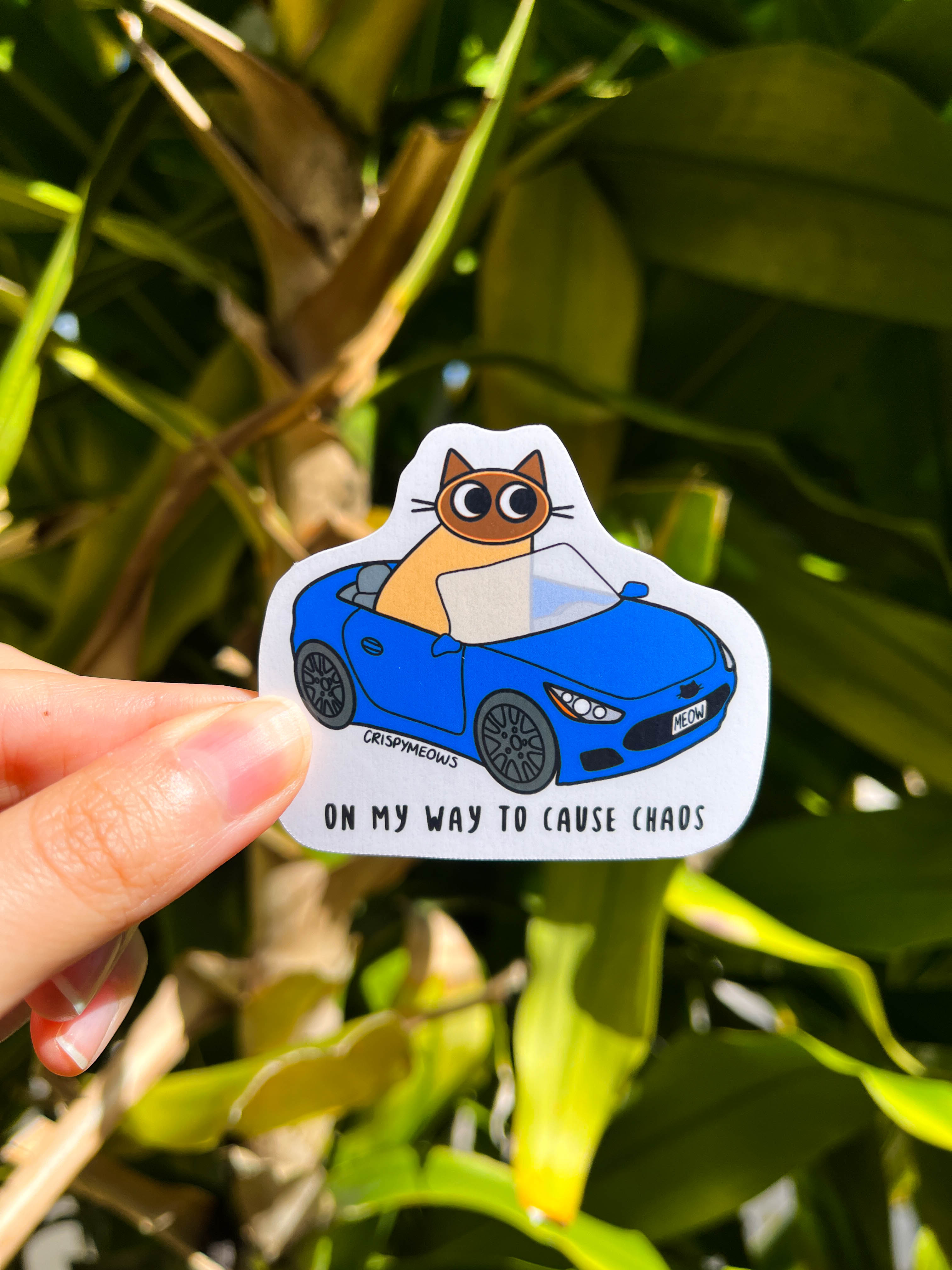 Nothing But Chaos Sticker