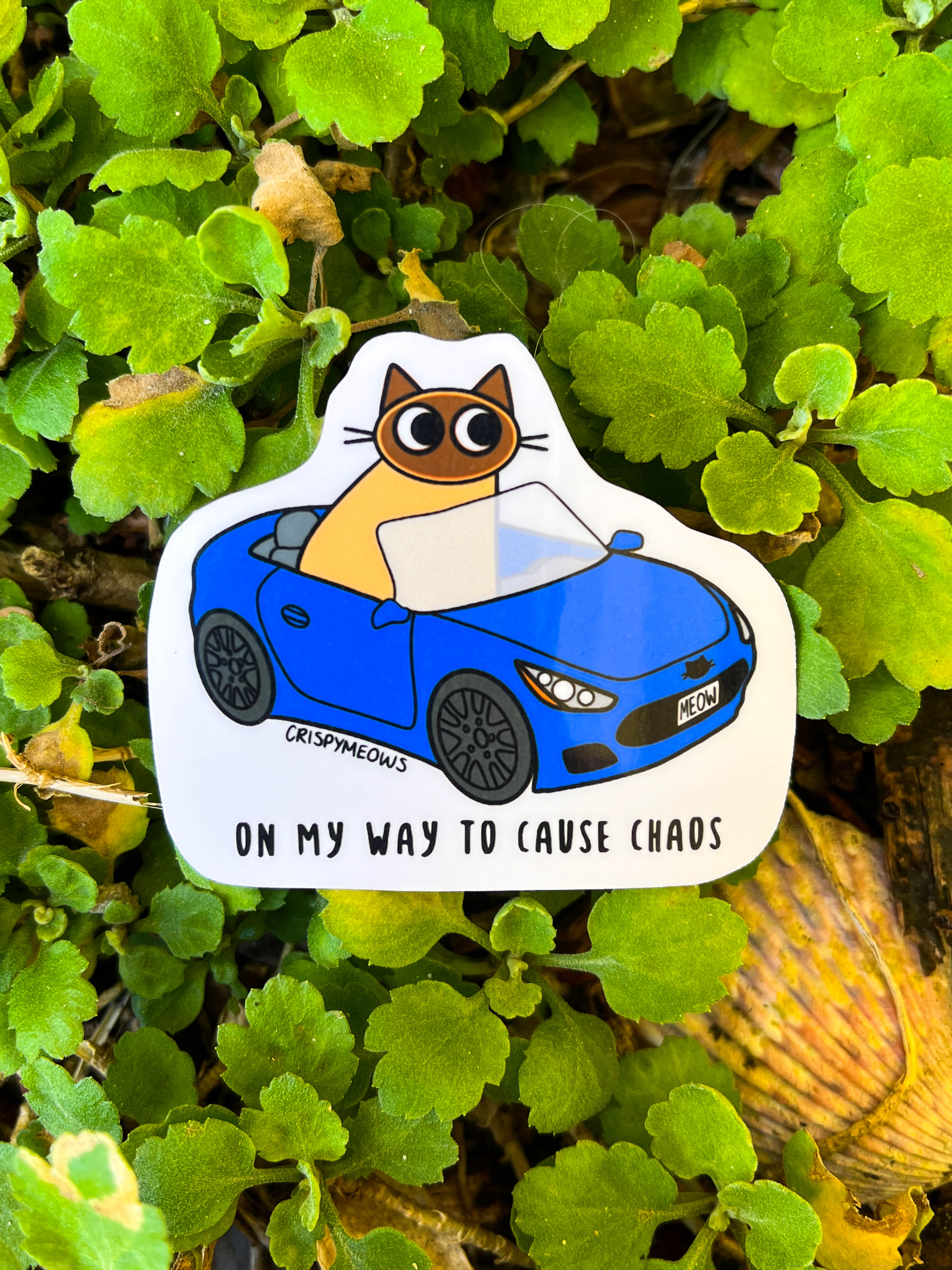 Nothing But Chaos Sticker