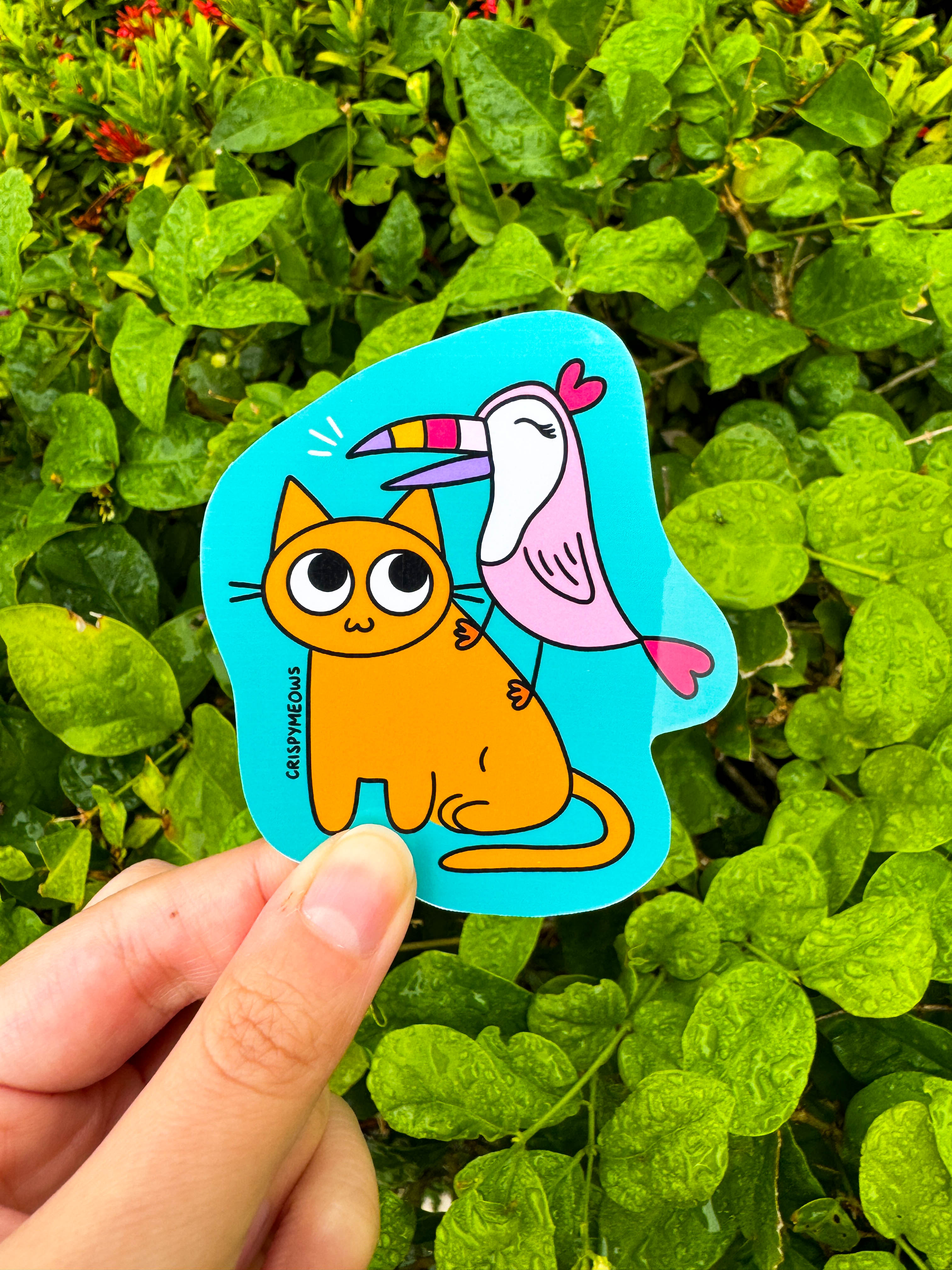 Cat & Toucan Sticker