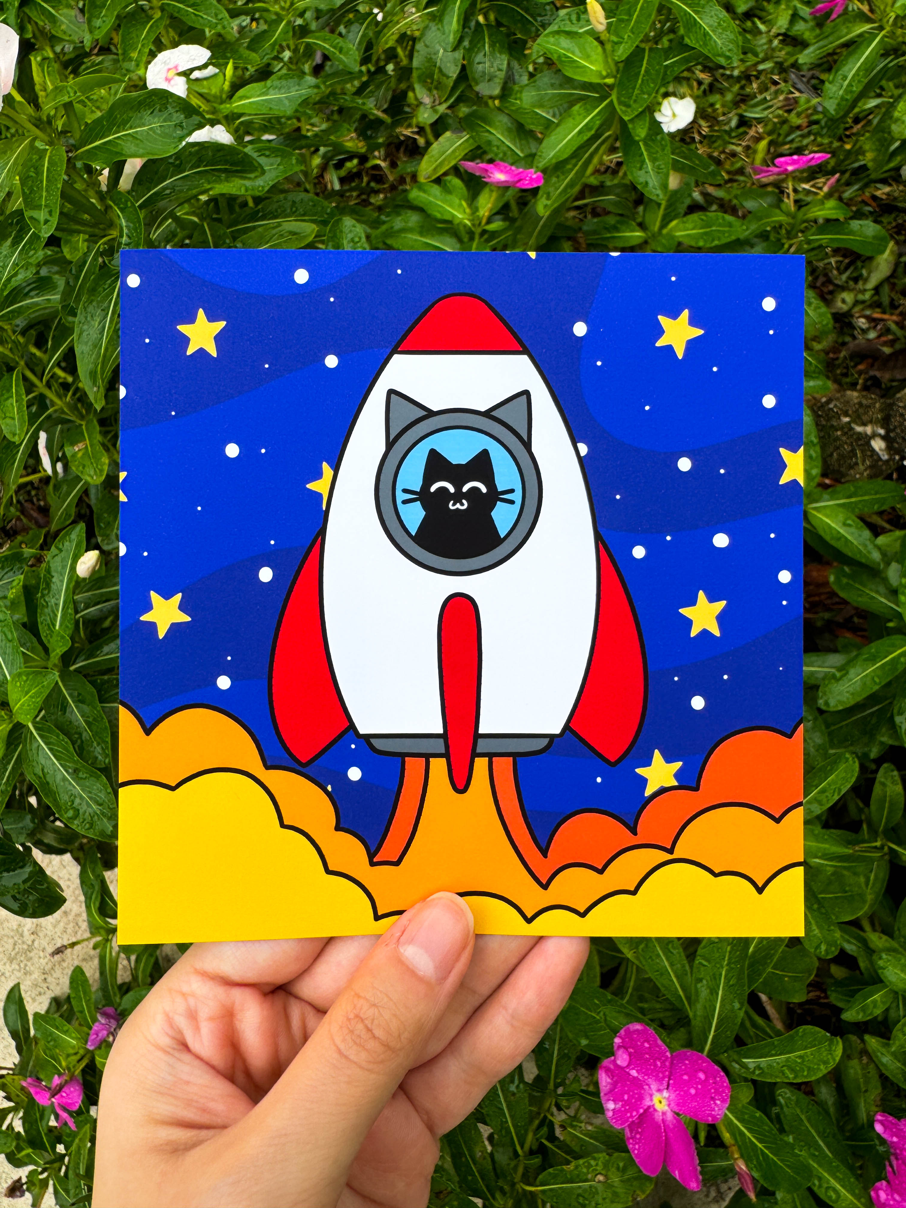 Space Cats 5 x 5 Prints
