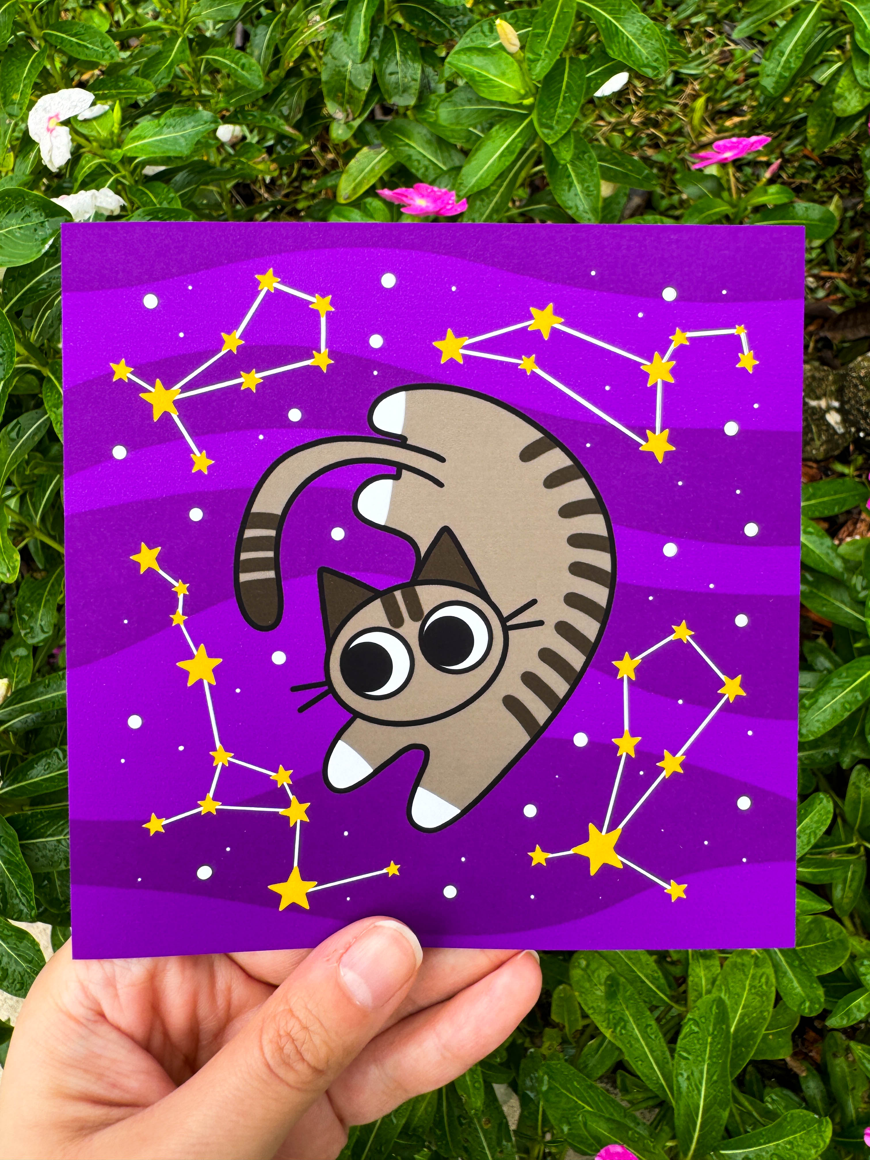 Space Cats 5 x 5 Prints