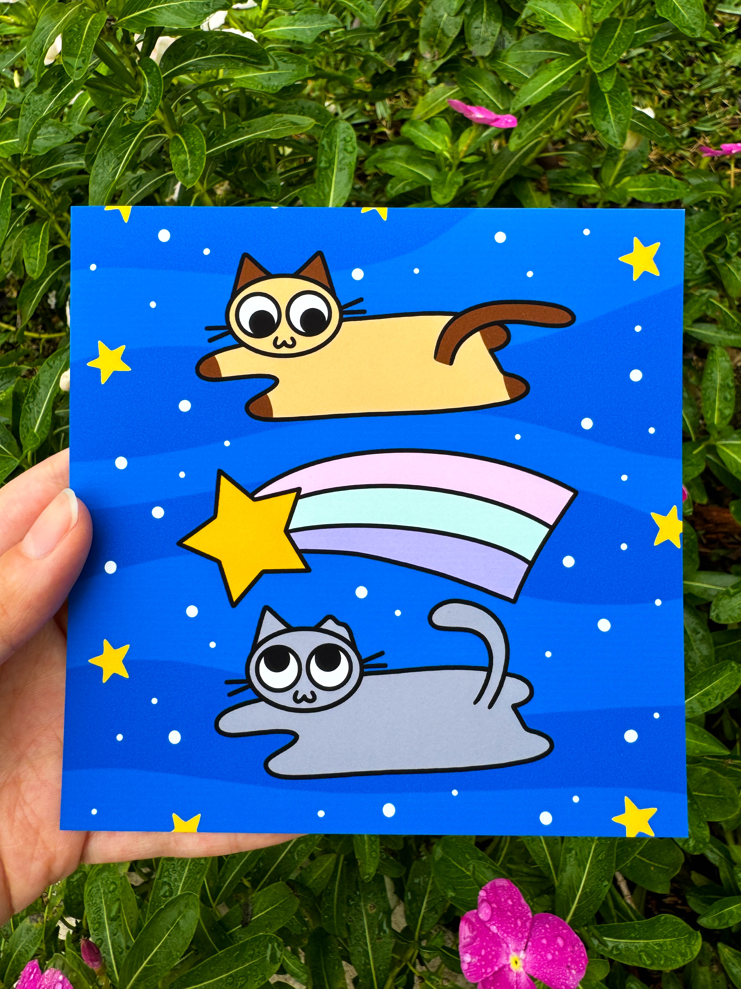 Space Cats 5 x 5 Prints