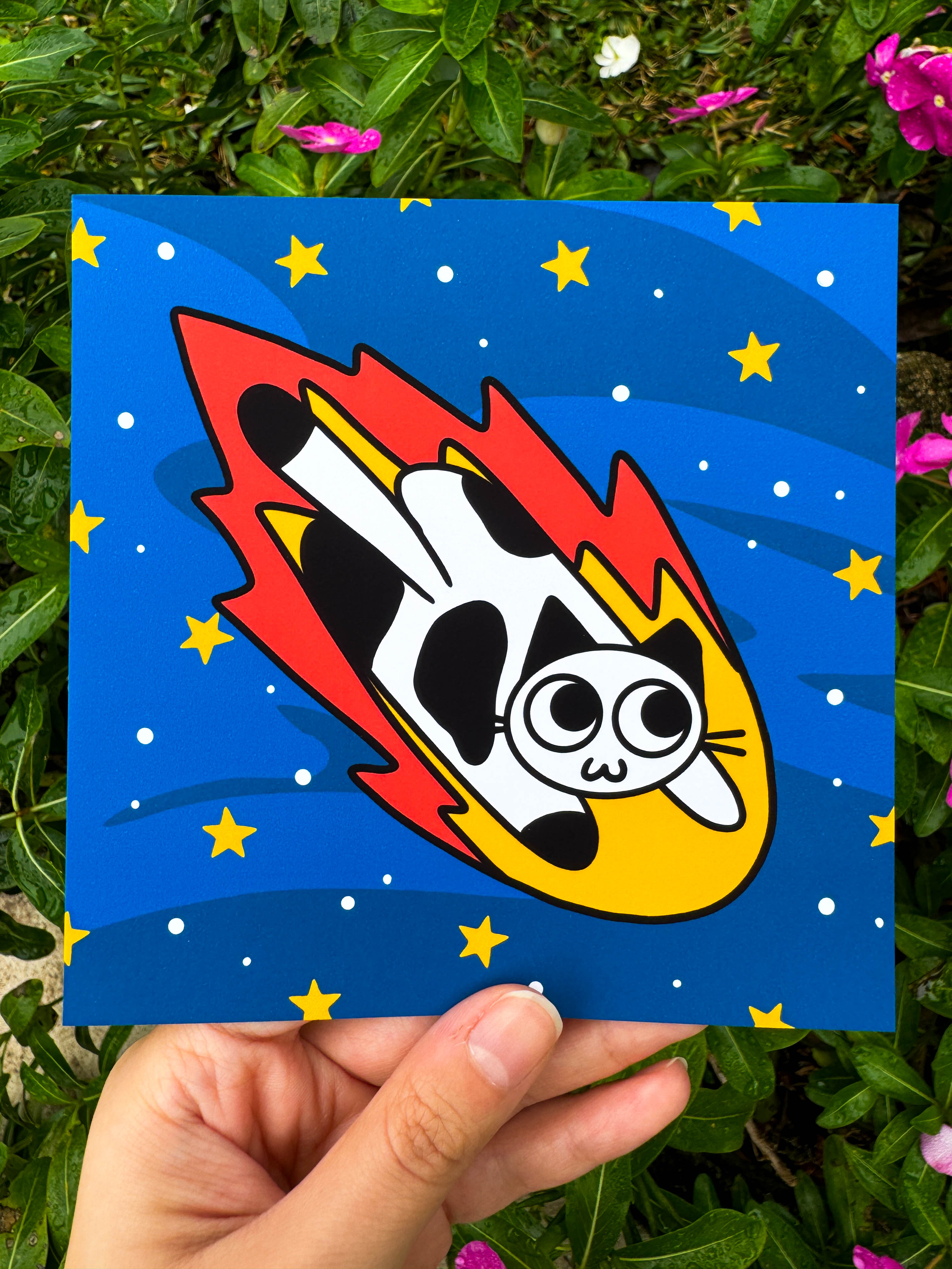 Space Cats 5 x 5 Prints