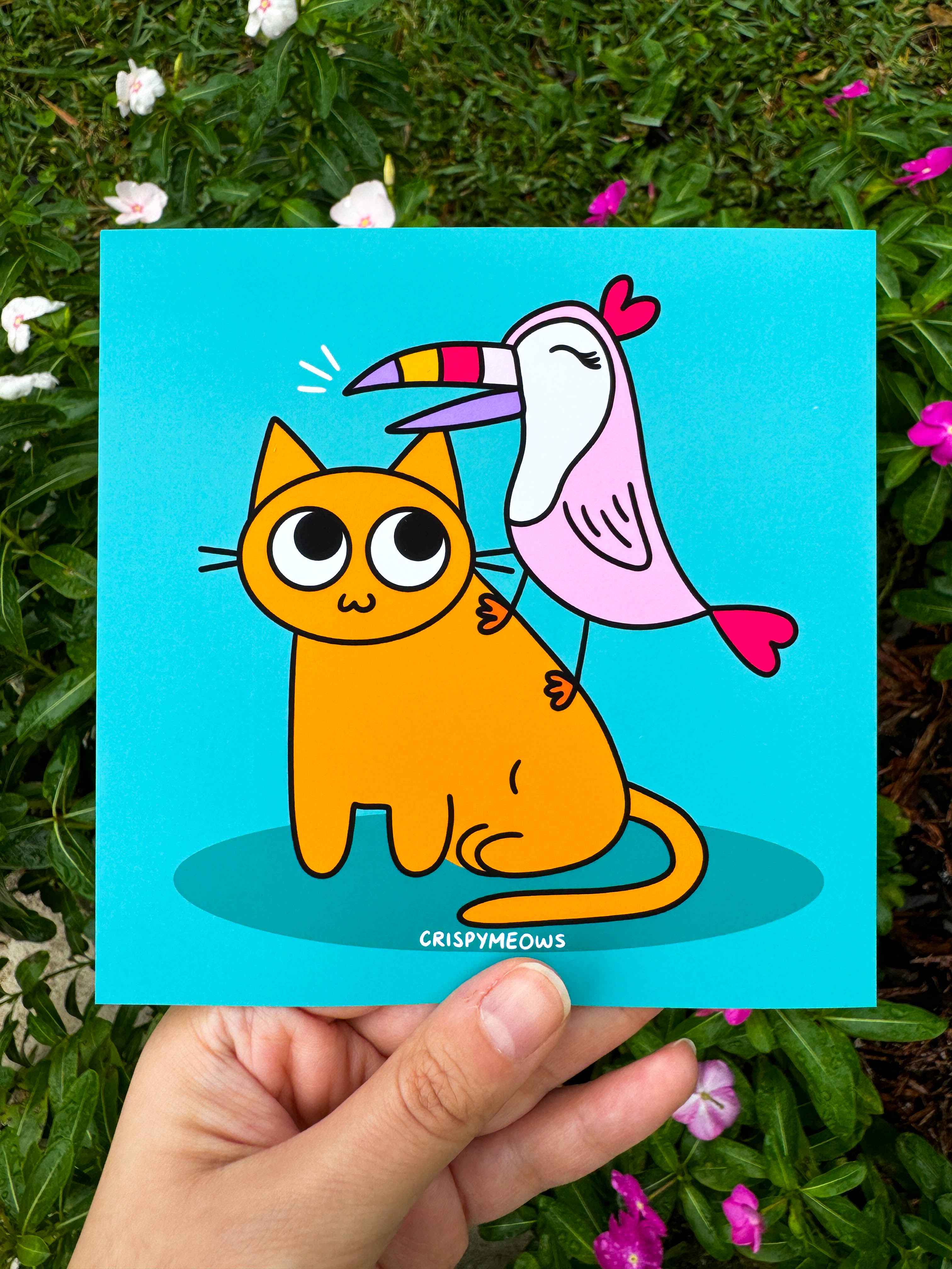 Cat & Toucan 5 x 5 Print