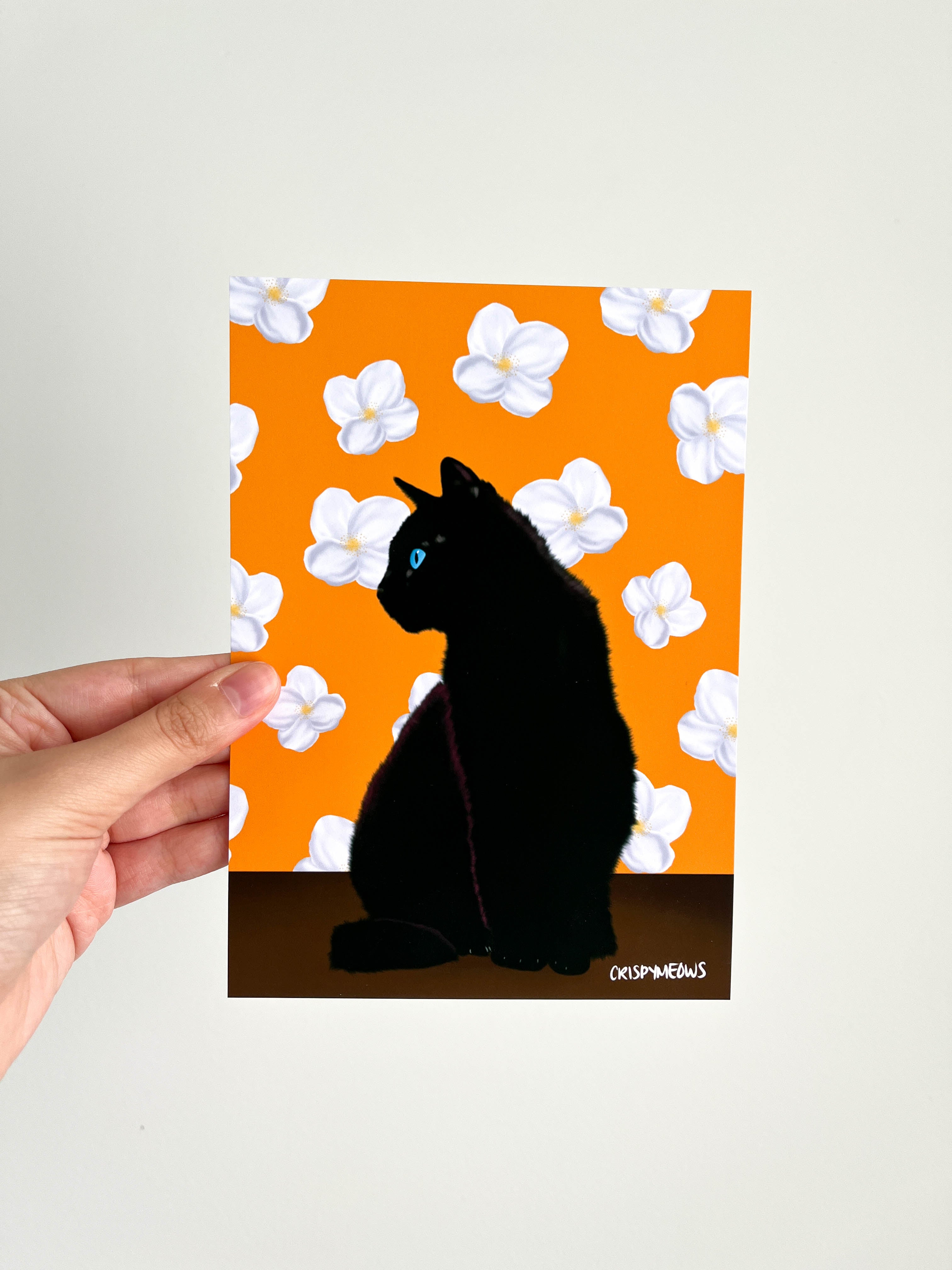 Black Cat With Jasmine Flowers, 5 x 7 Print