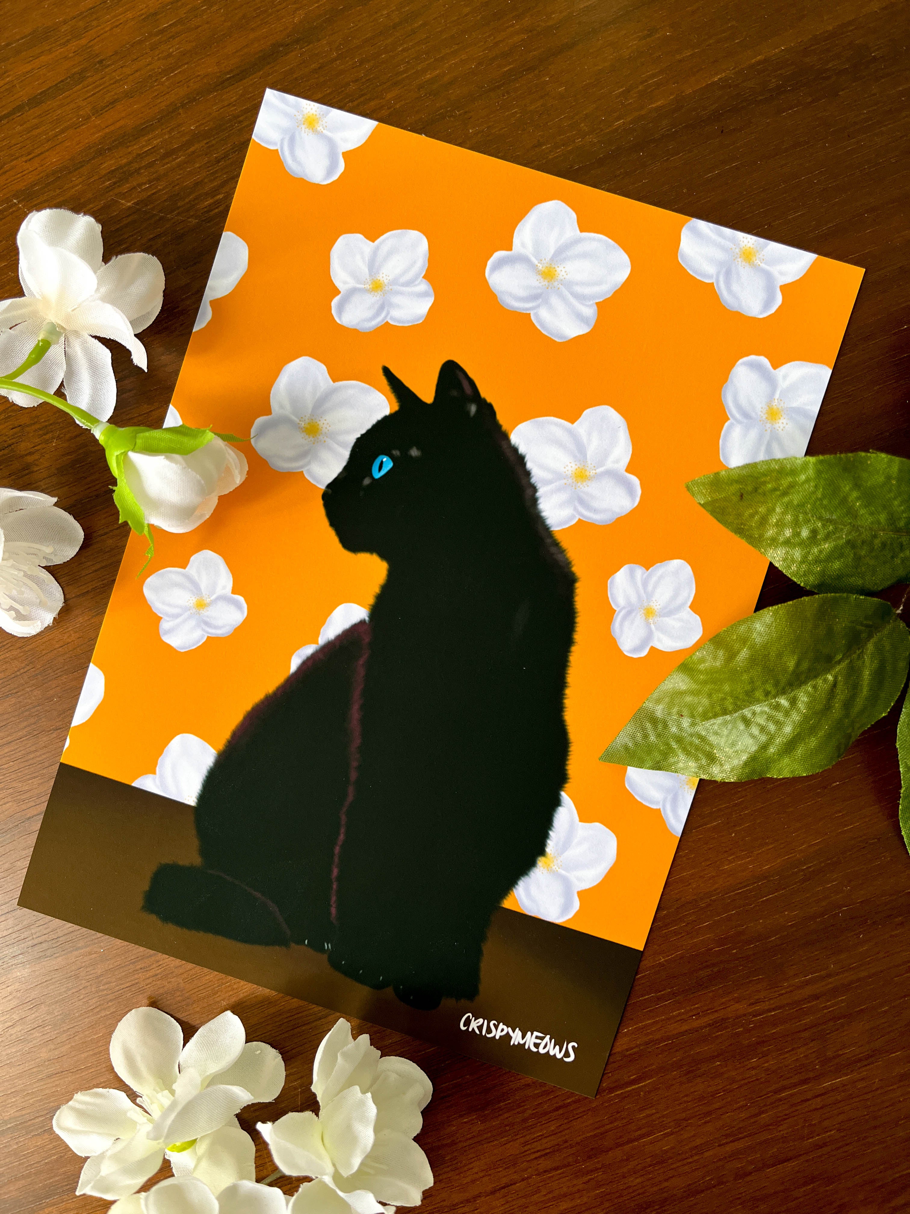 Black Cat With Jasmine Flowers, 5 x 7 Print