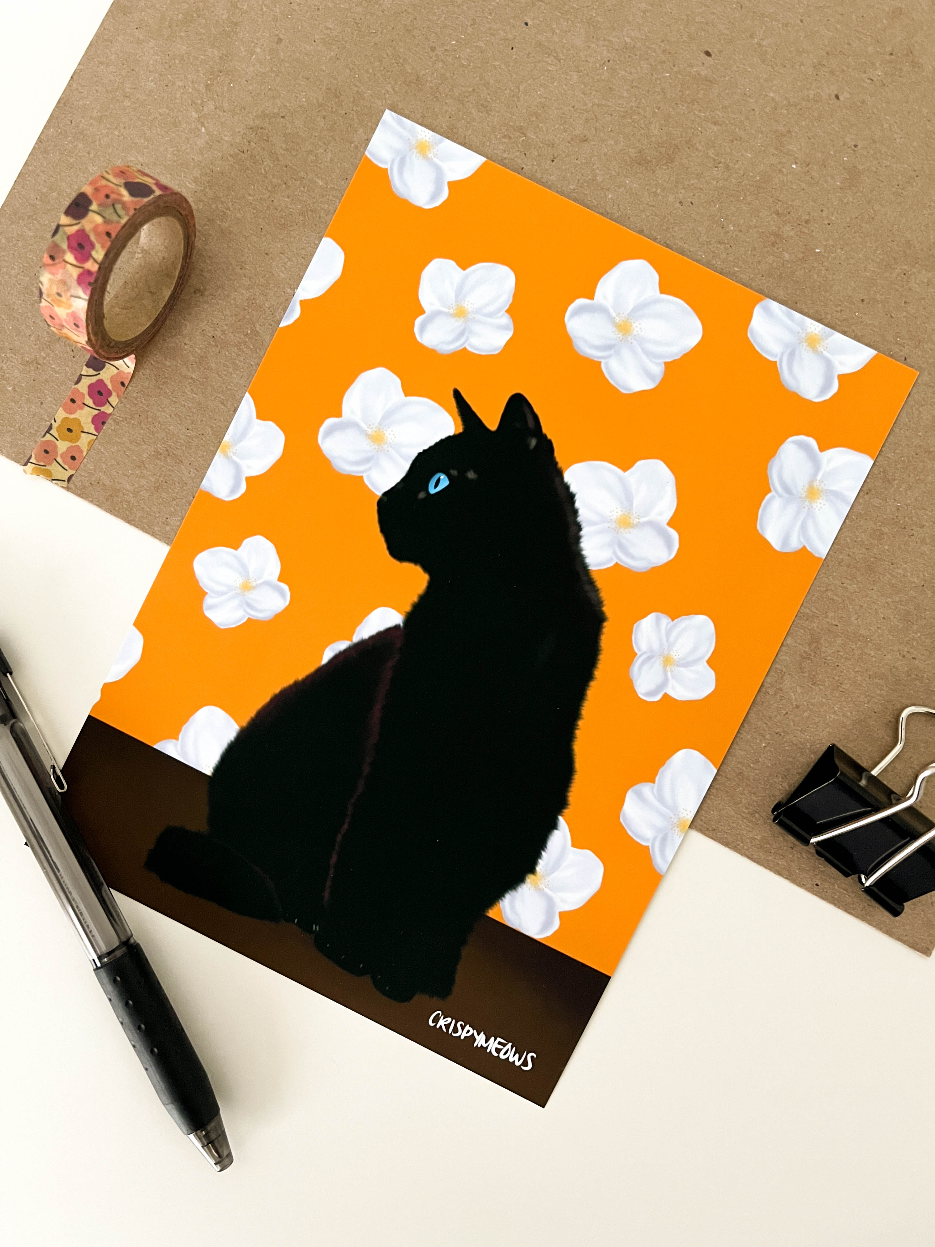 Black Cat With Jasmine Flowers, 5 x 7 Print