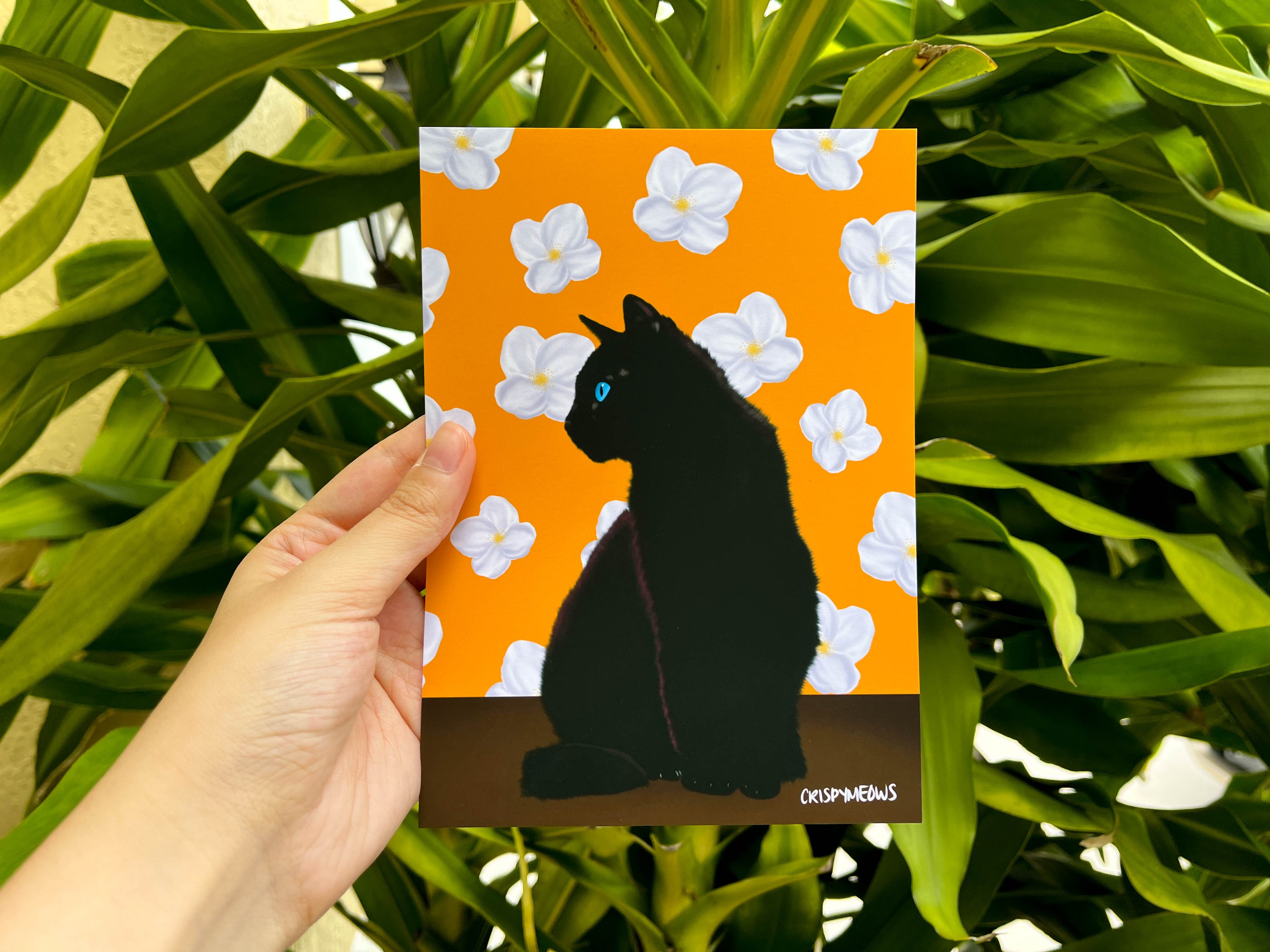 Black Cat With Jasmine Flowers, 5 x 7 Print