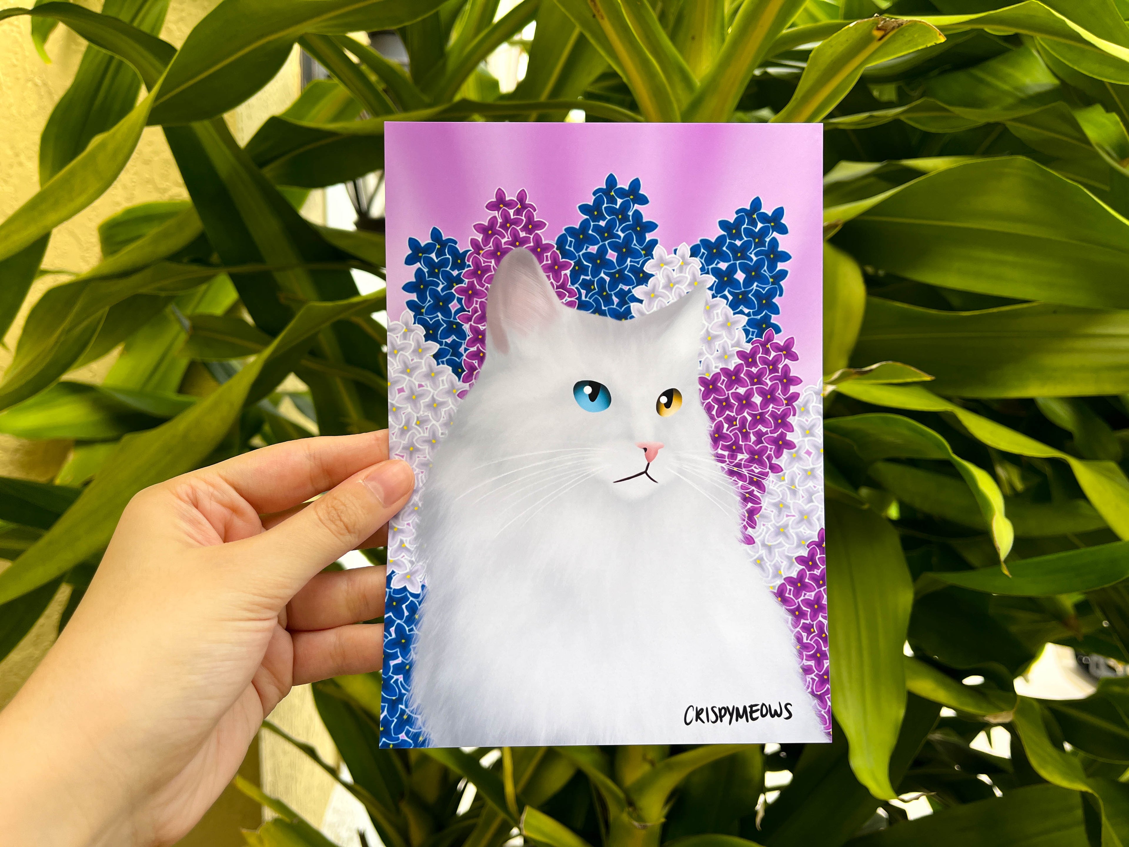 Lilac Cat 5 x 7 Print