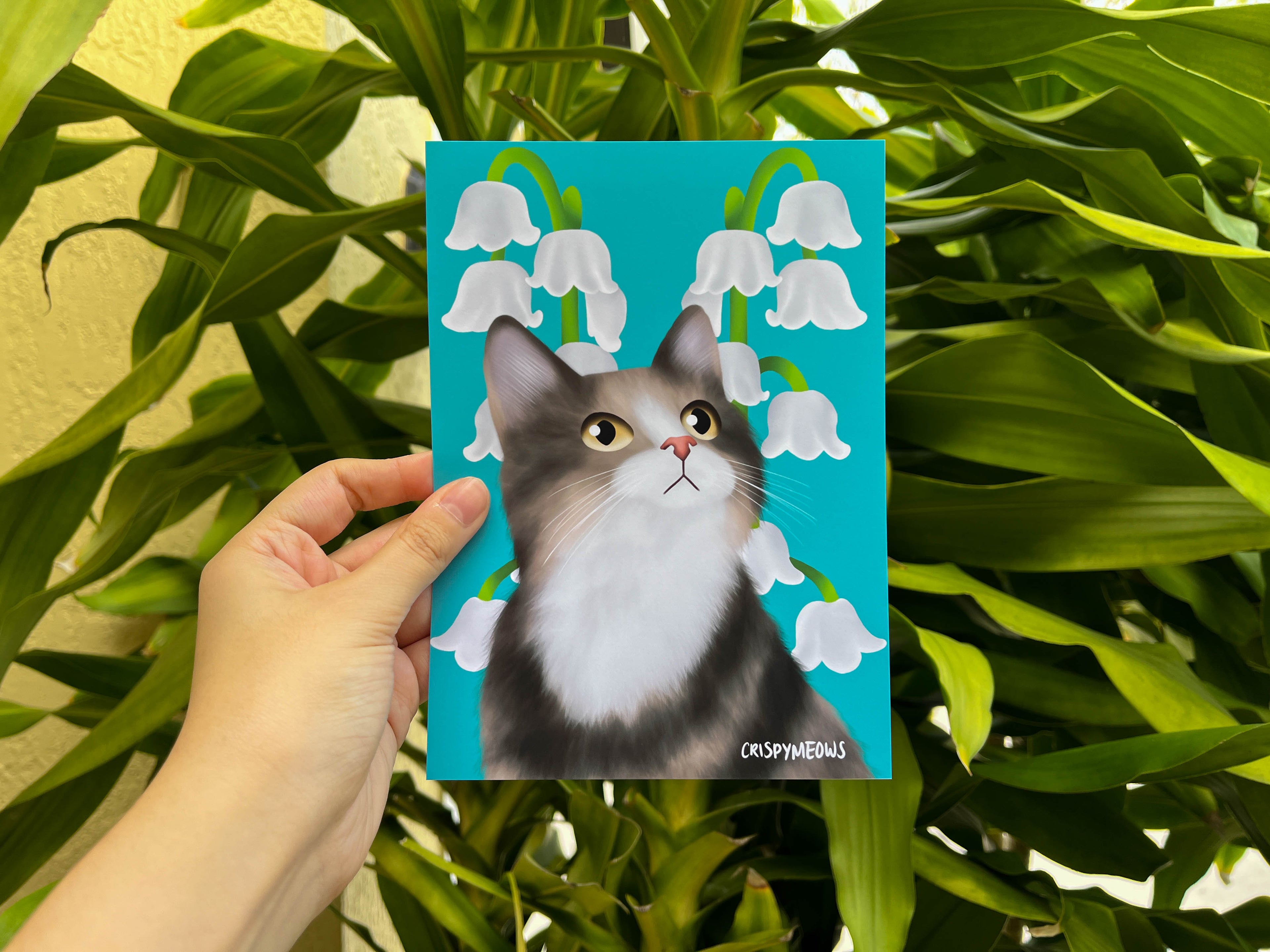 Lily Of The Valley 5 x 7 Print