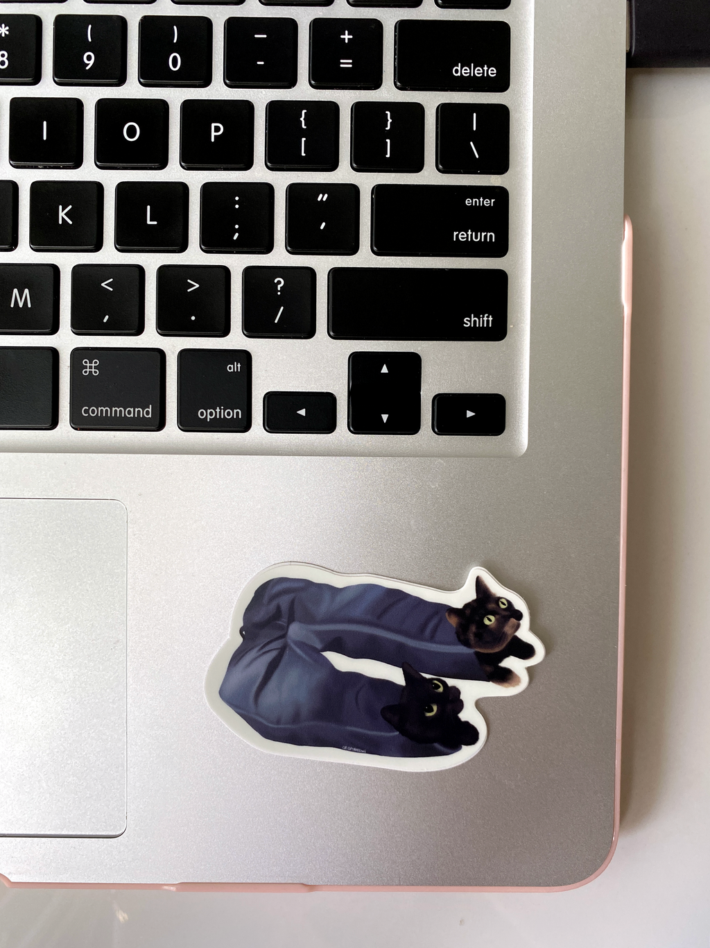 Cats In My Pants Sticker