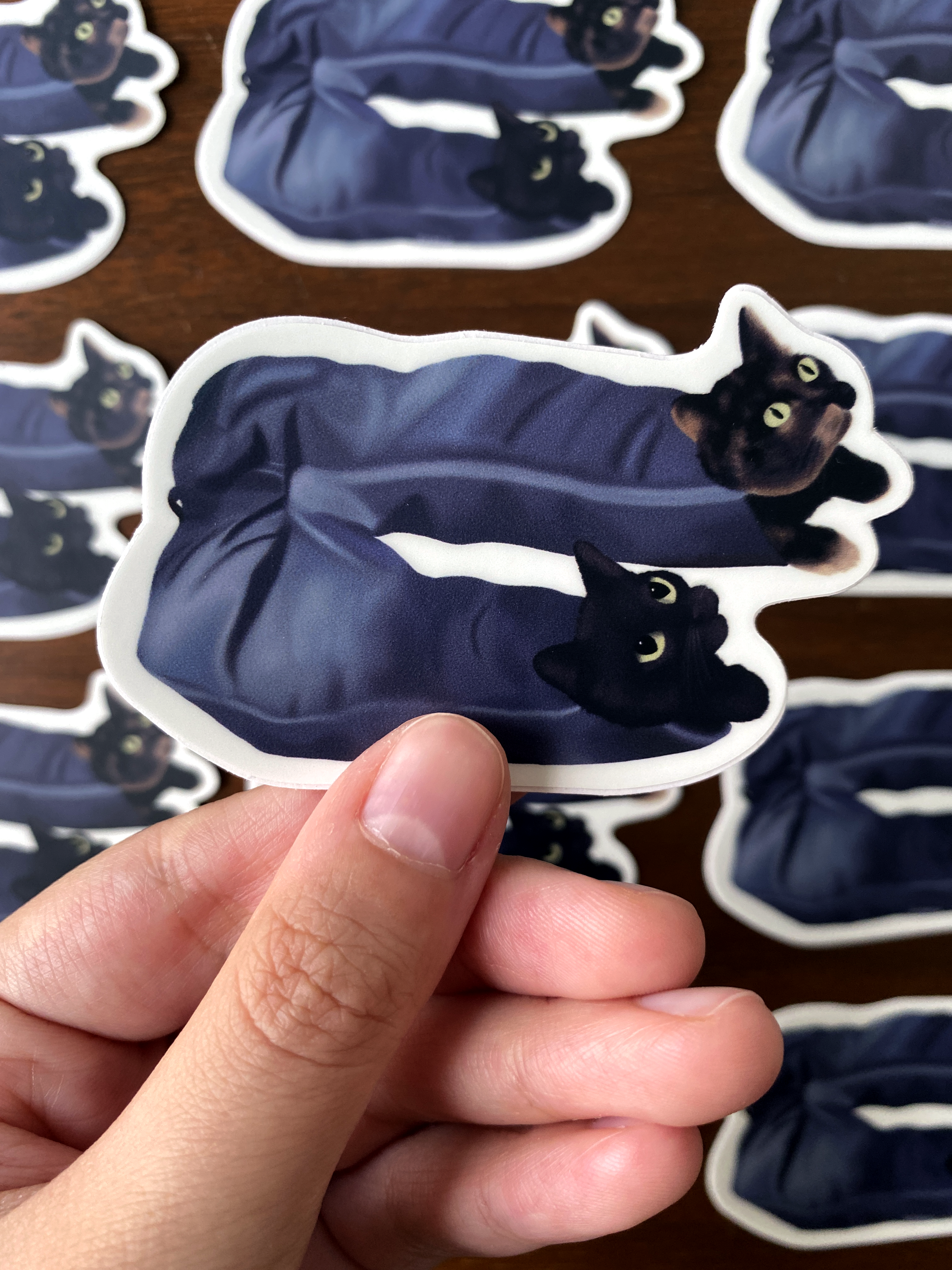 Cats In My Pants Sticker
