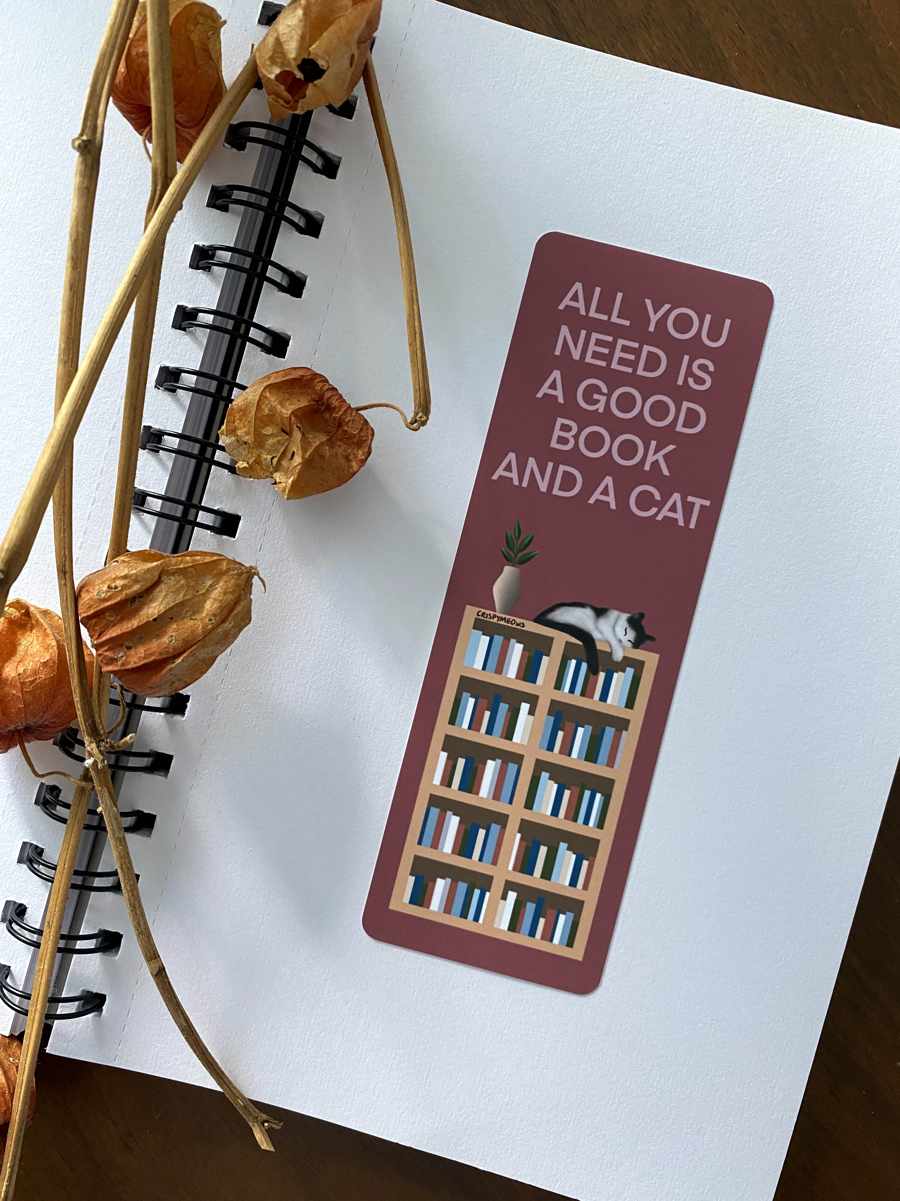 All You Need Is A Good Book & A Cat