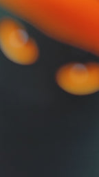 Spooky Cat Spells 5 x 5 Art Print